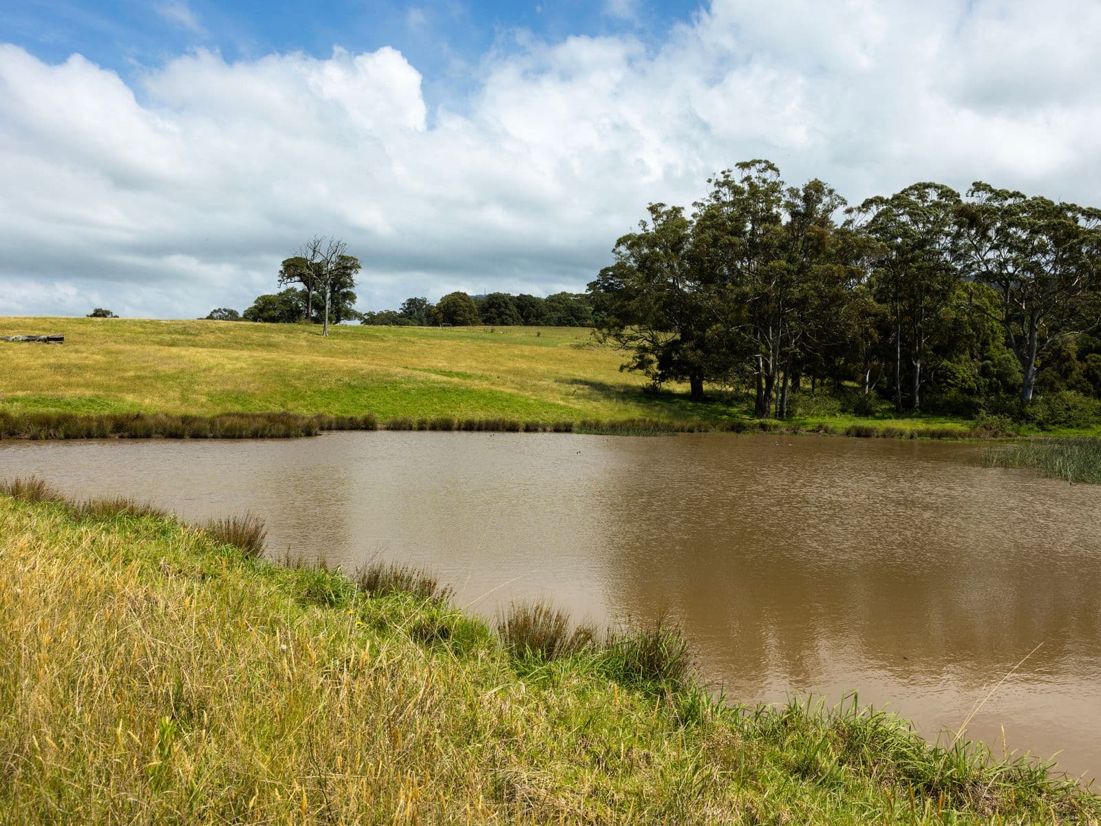 510 Princes Highway, Jaspers Brush - Thumbnail 3