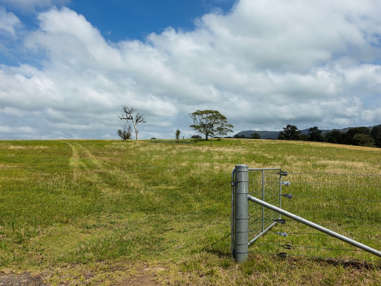 510 Princes Highway, Jaspers Brush - Thumbnail 4
