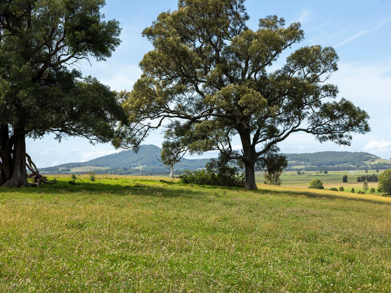 510 Princes Highway, Jaspers Brush - Thumbnail 5