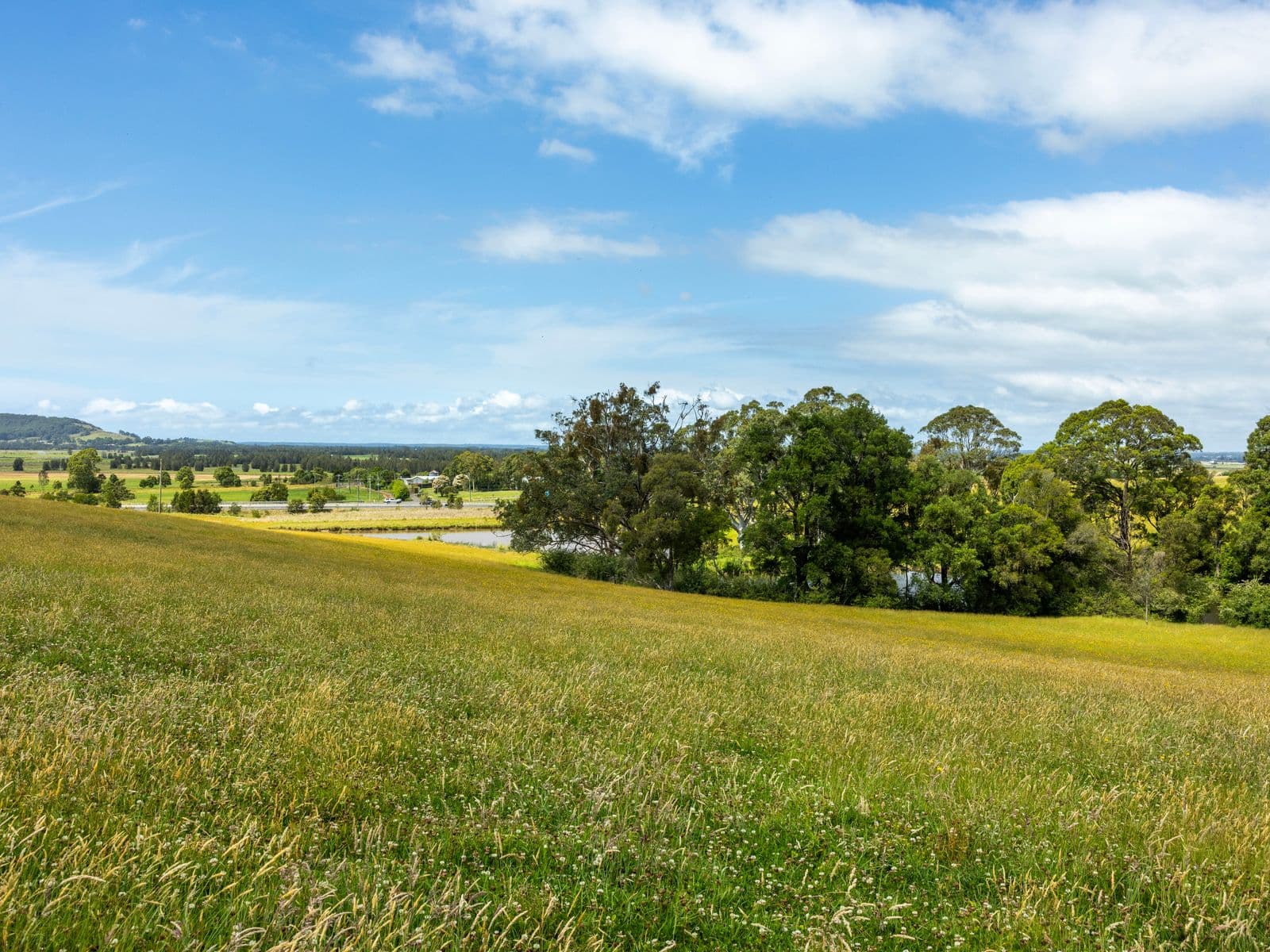 510 Princes Highway, Jaspers Brush - Thumbnail 6