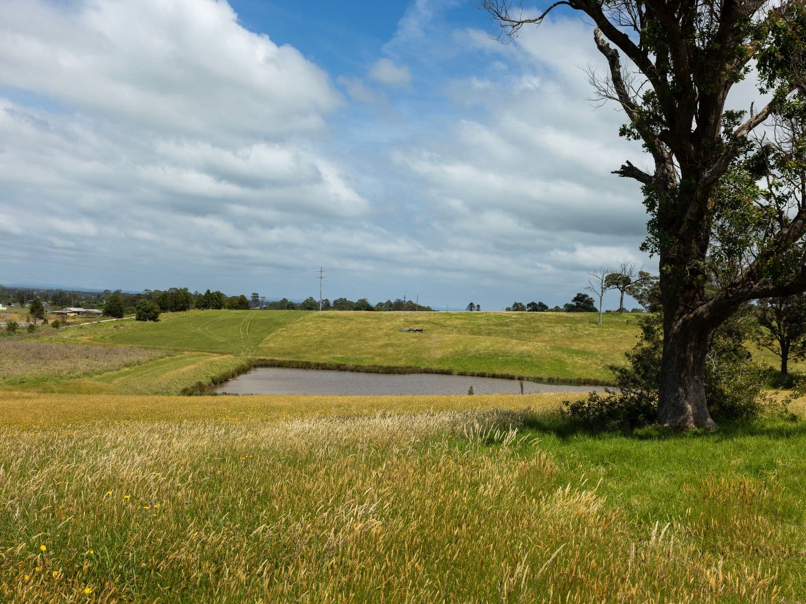 510 Princes Highway, Jaspers Brush - Thumbnail 7