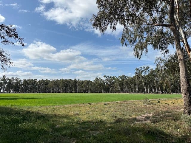 456 RIVER Road, Gonn Crossing VIC 3579, Gonn Crossing - Thumbnail 3