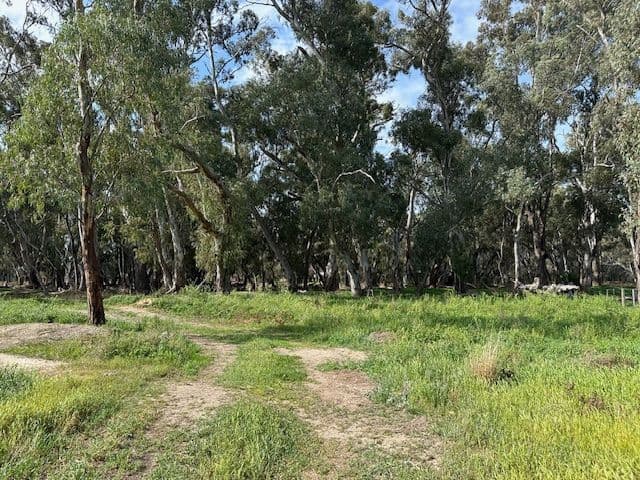 456 RIVER Road, Gonn Crossing VIC 3579, Gonn Crossing - Thumbnail 5