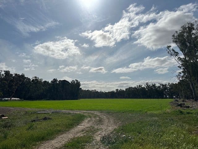 456 RIVER Road, Gonn Crossing VIC 3579, Gonn Crossing - Thumbnail 6