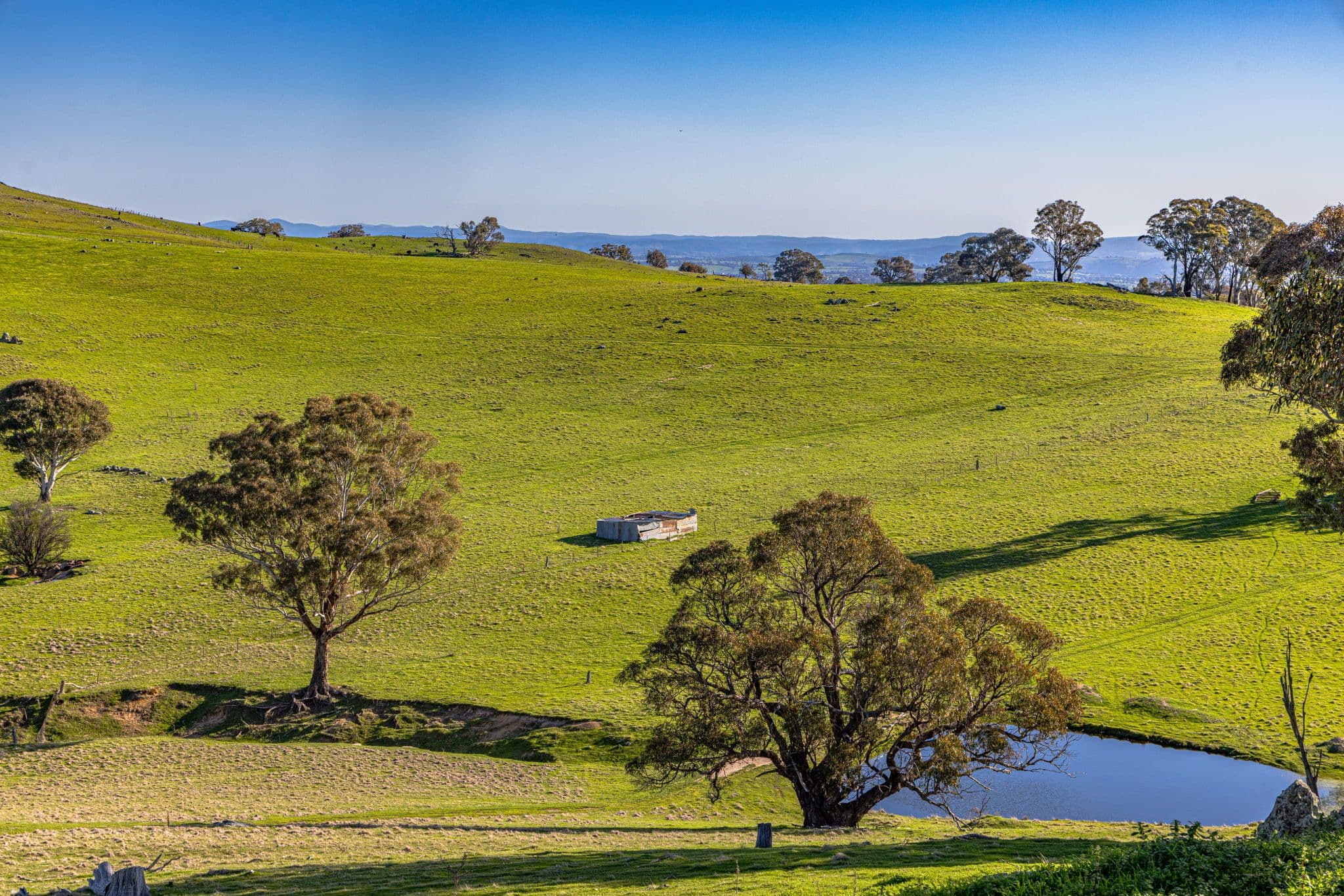 "Rossmere" Cooks Hill Road, Yass NSW 2582, Yass - Thumbnail 4