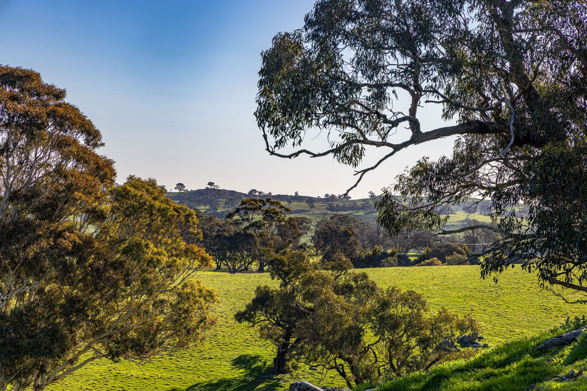 "Rossmere" Cooks Hill Road, Yass NSW 2582, Yass - Thumbnail 6