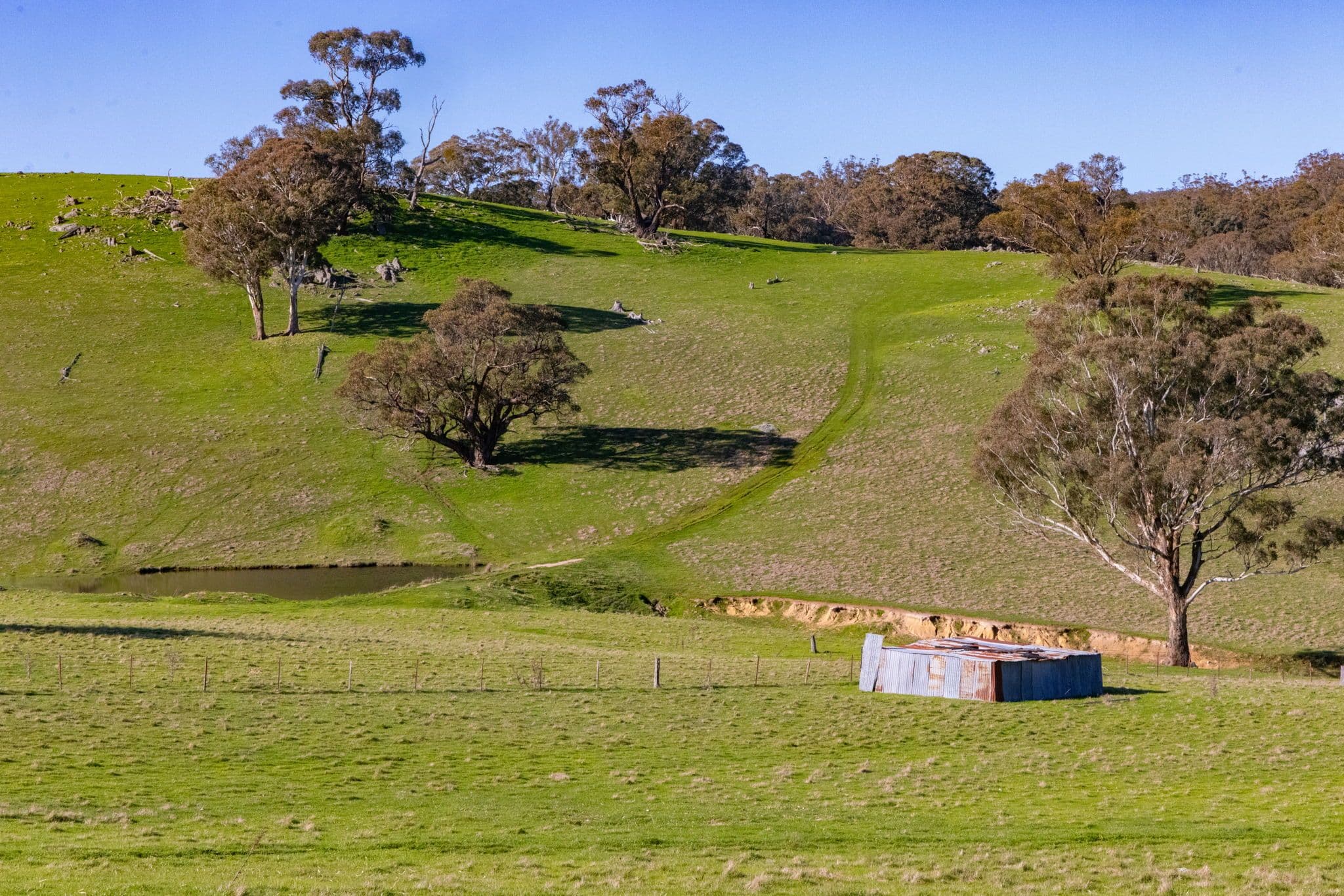 "Rossmere" Cooks Hill Road, Yass NSW 2582, Yass - Thumbnail 7