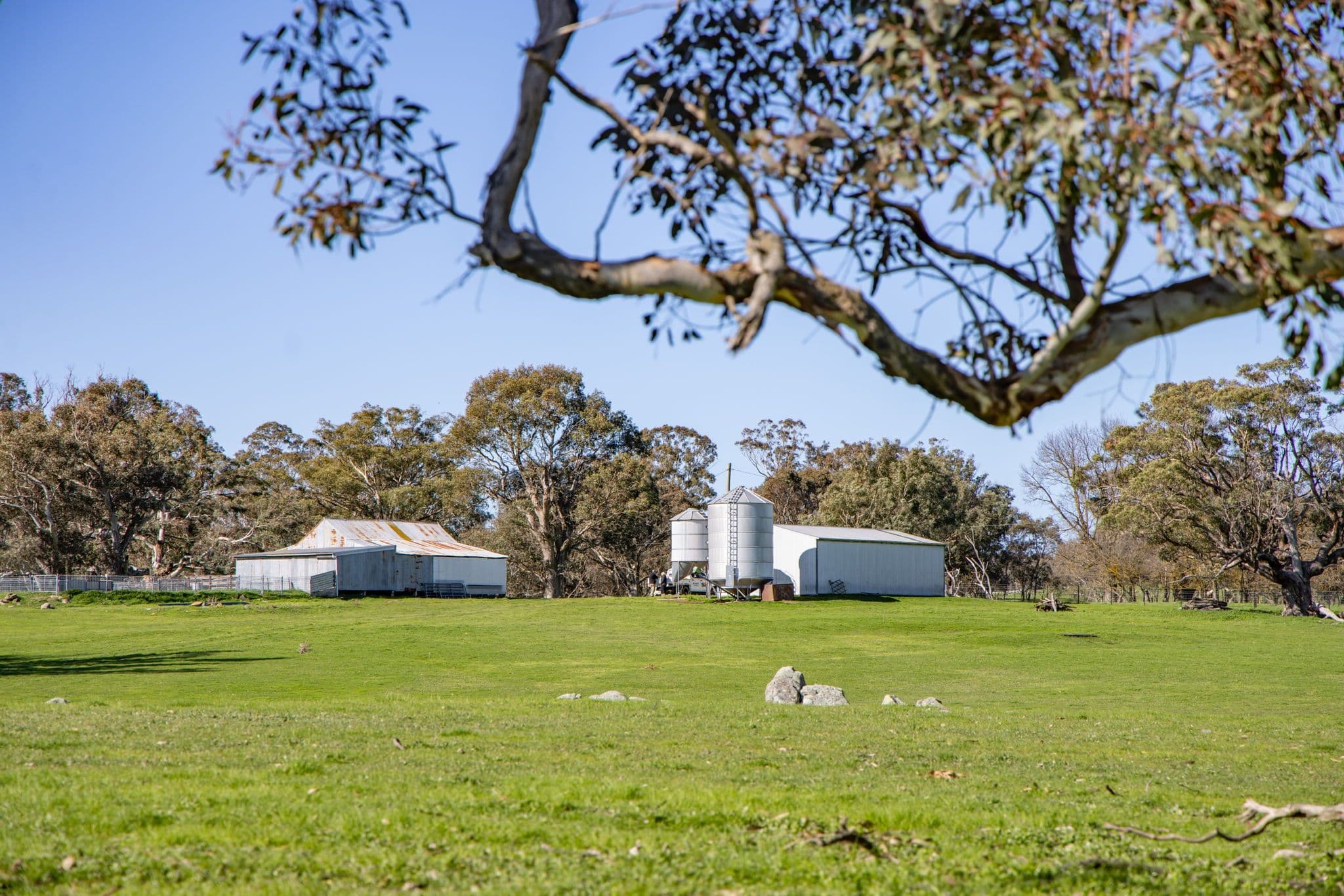 "Cottage Farm" 1001 Cooks Hill Road, Yass NSW 2582, Yass - Image 1