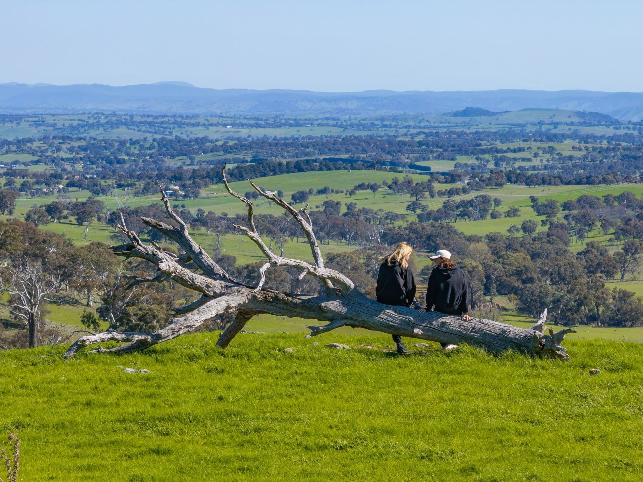 "Cottage Farm" 1001 Cooks Hill Road, Yass NSW 2582, Yass - Thumbnail 2