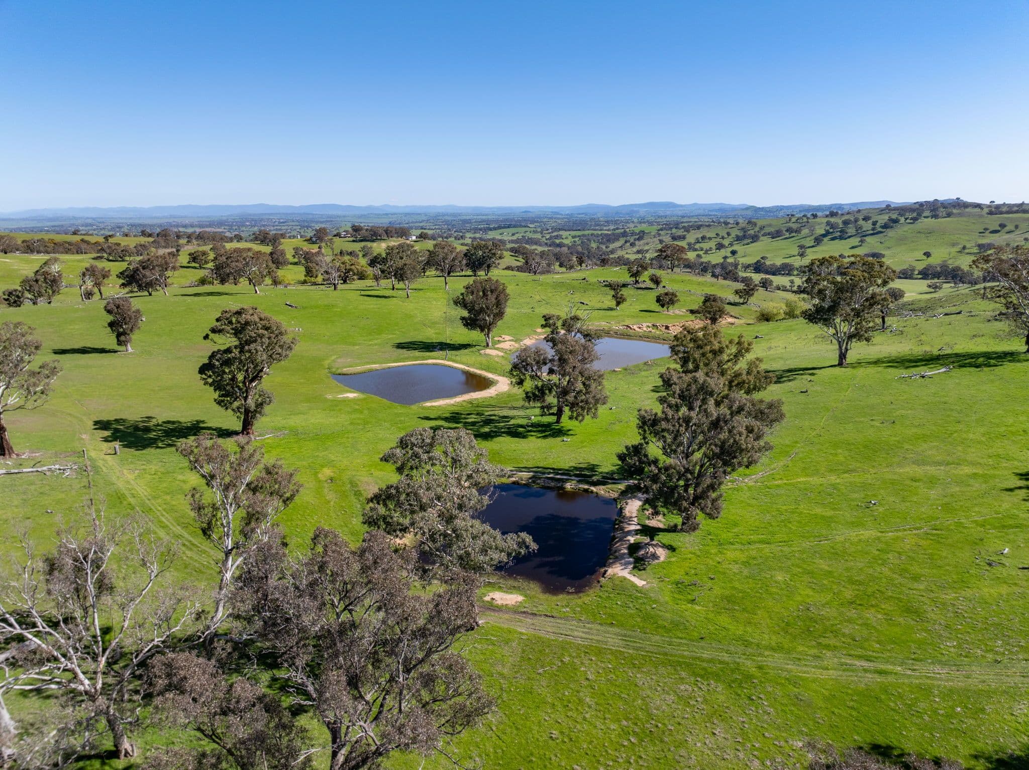 "Cottage Farm" 1001 Cooks Hill Road, Yass NSW 2582, Yass - Thumbnail 5