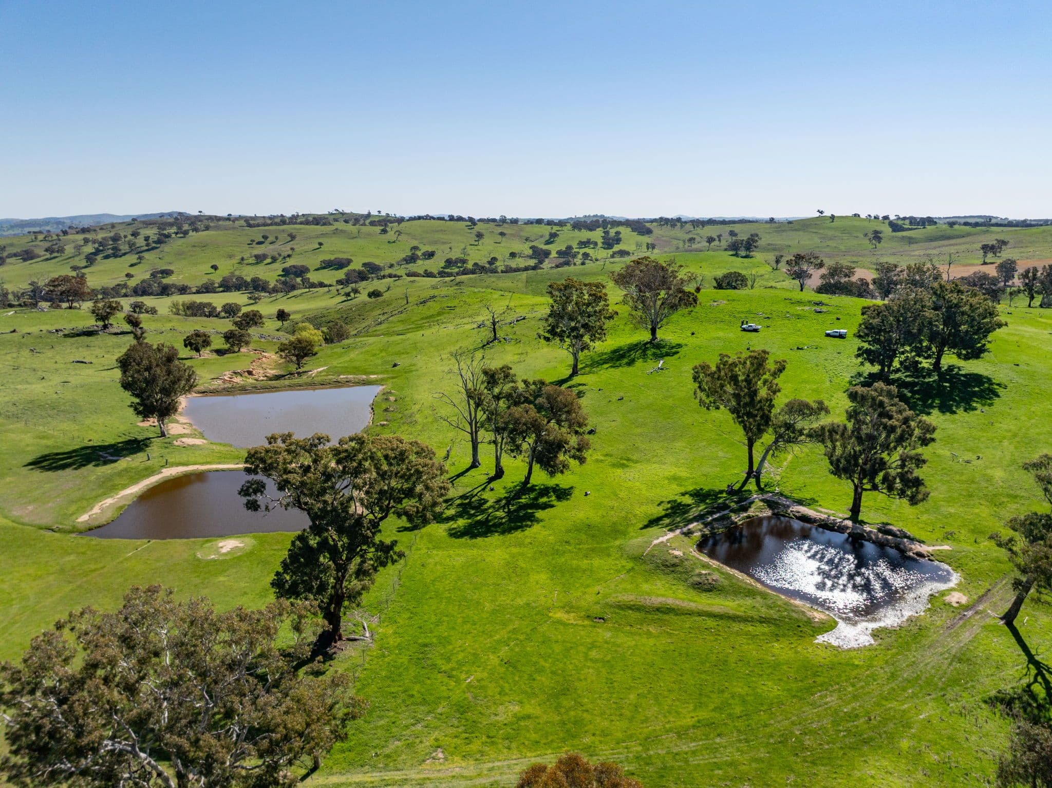 "Cottage Farm" 1001 Cooks Hill Road, Yass NSW 2582, Yass - Thumbnail 6