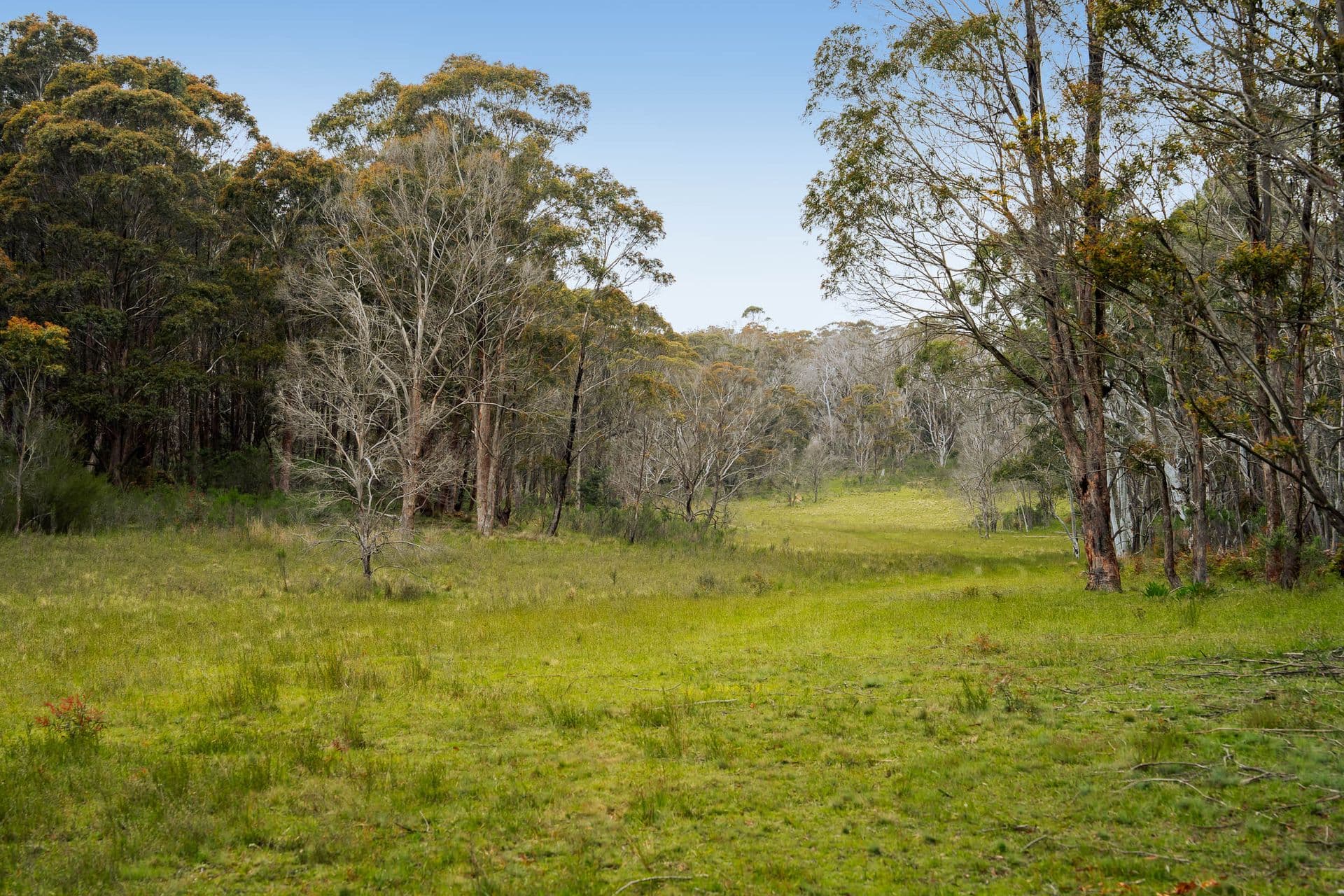 153 Wiarborough Road, Wiarborough - Thumbnail 5