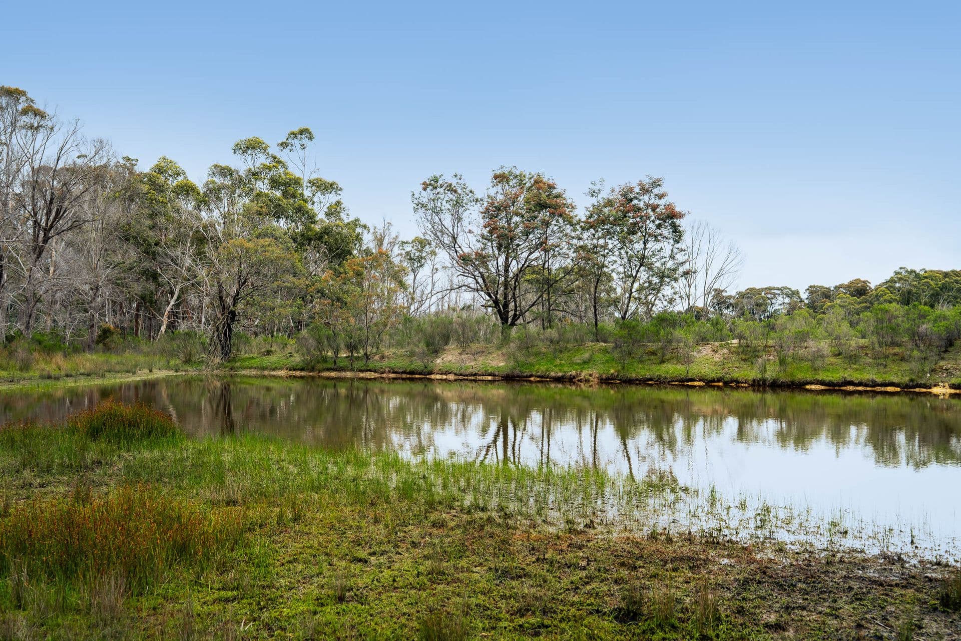153 Wiarborough Road, Wiarborough - Thumbnail 7