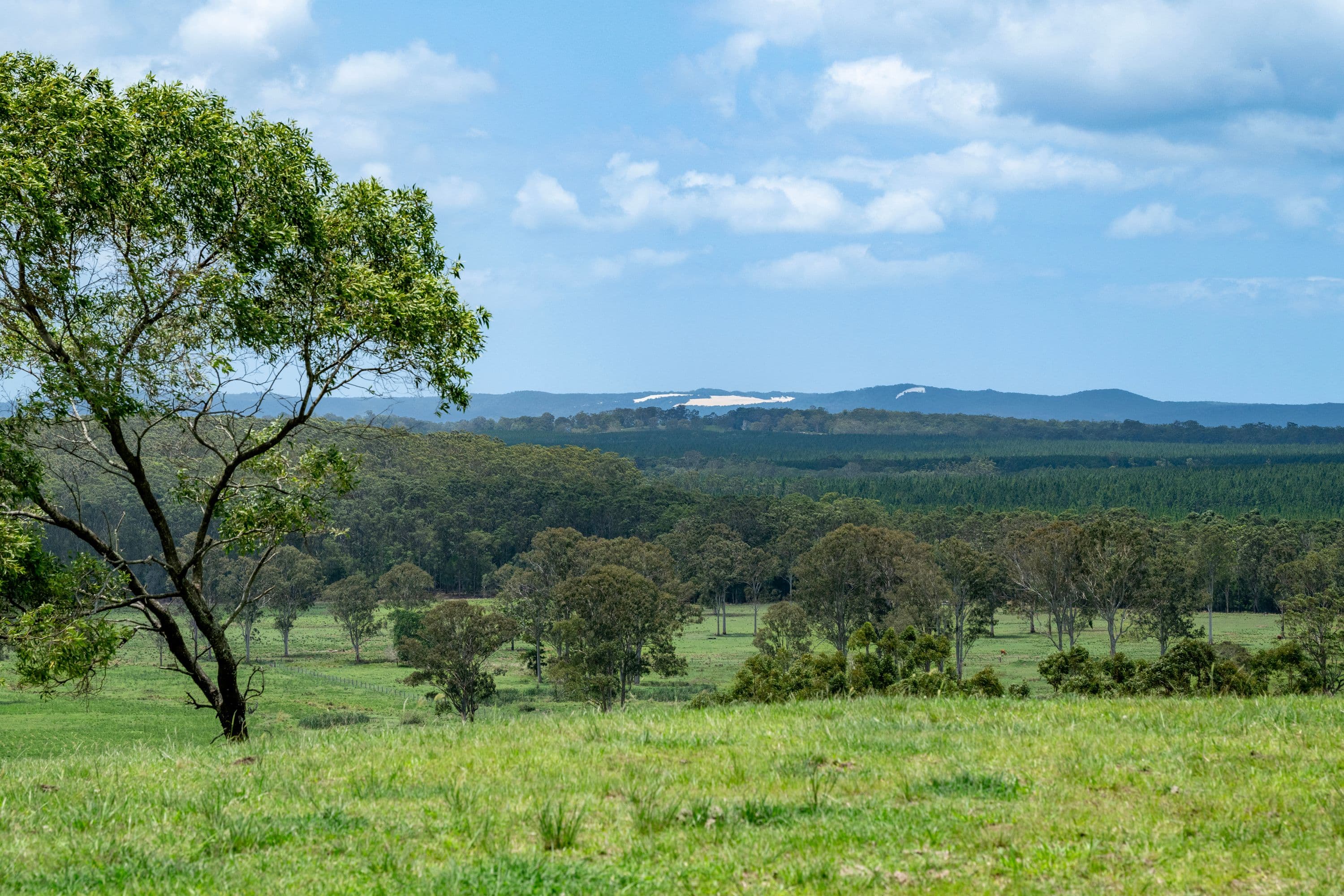 239 Parsons Road, Coondoo QLD 4570, Coondoo - Thumbnail 2