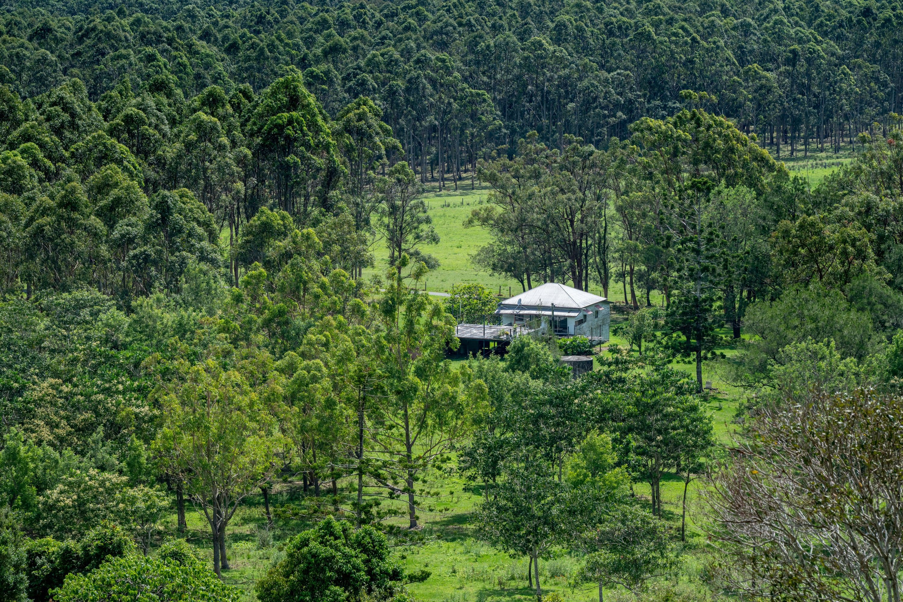 239 Parsons Road, Coondoo QLD 4570, Coondoo - Thumbnail 8