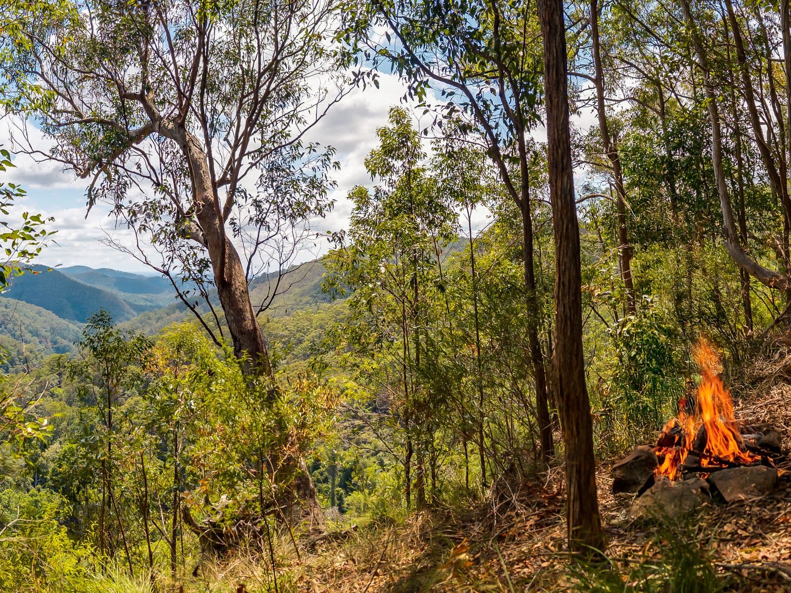195-275 Kaiser Road, Tamborine Mountain - Thumbnail 8