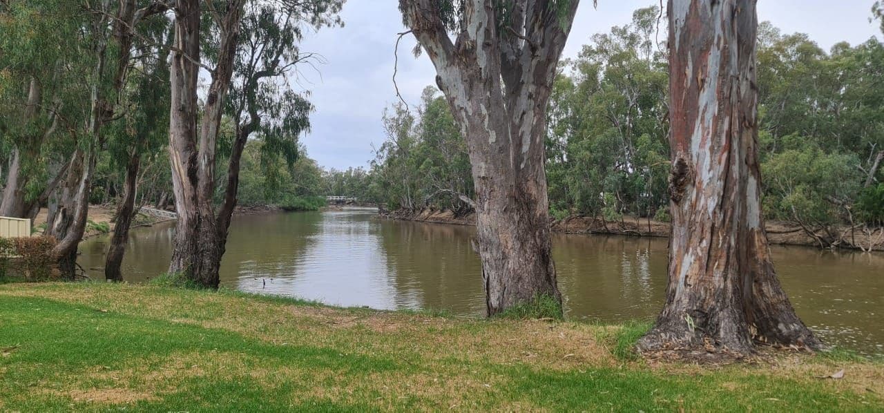 21 TEDDYS Lane, Barham NSW 2732, Barham - Thumbnail 5