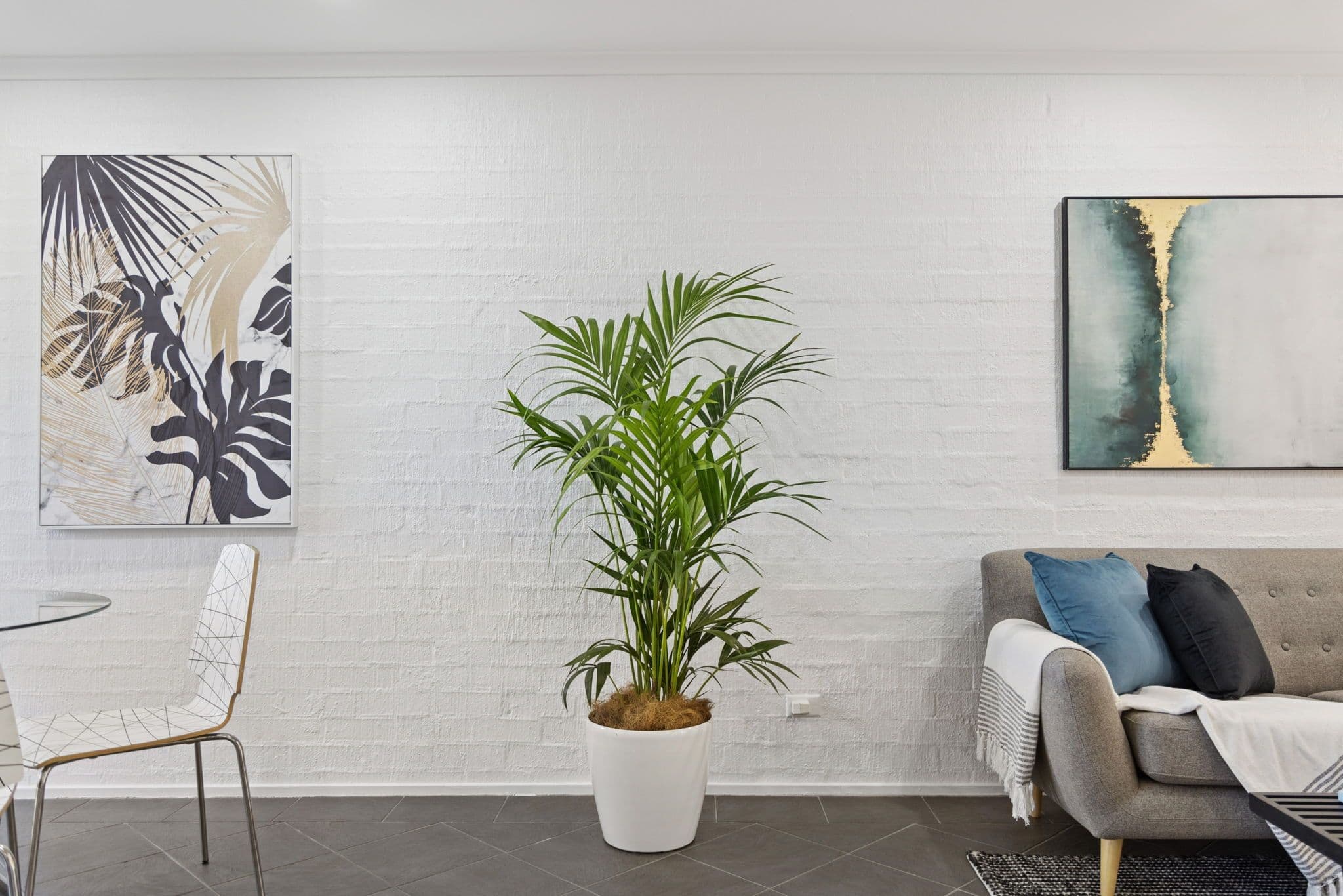 22 Archibald Street, Lyneham ACT 2602, Lyneham - Thumbnail 8