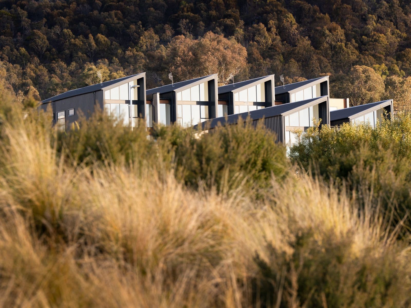 34 Leontine Loop, Denman Prospect - Thumbnail 2
