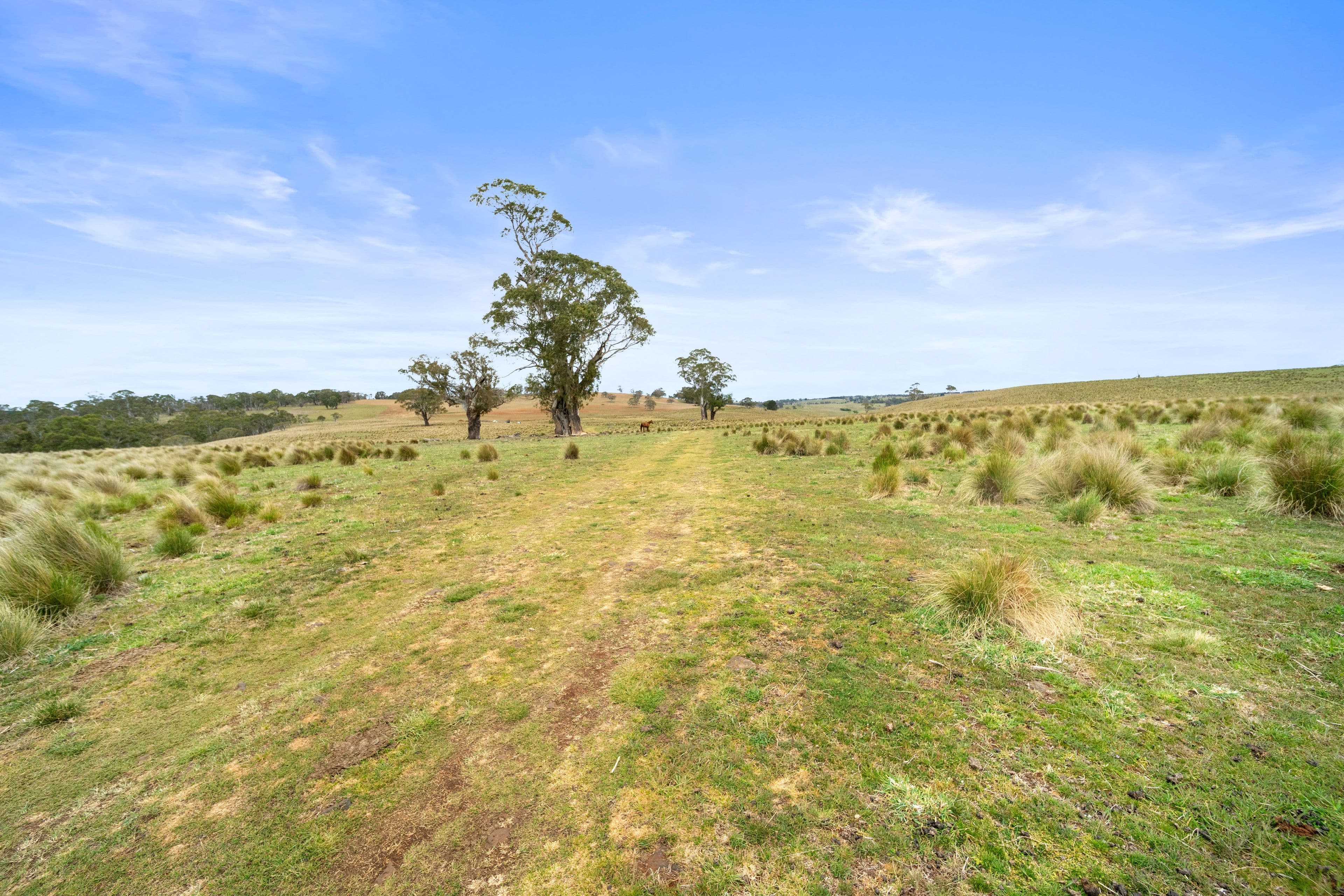 148 Ferndale Road, Coolumbooka NSW 2632, Coolumbooka - Thumbnail 7
