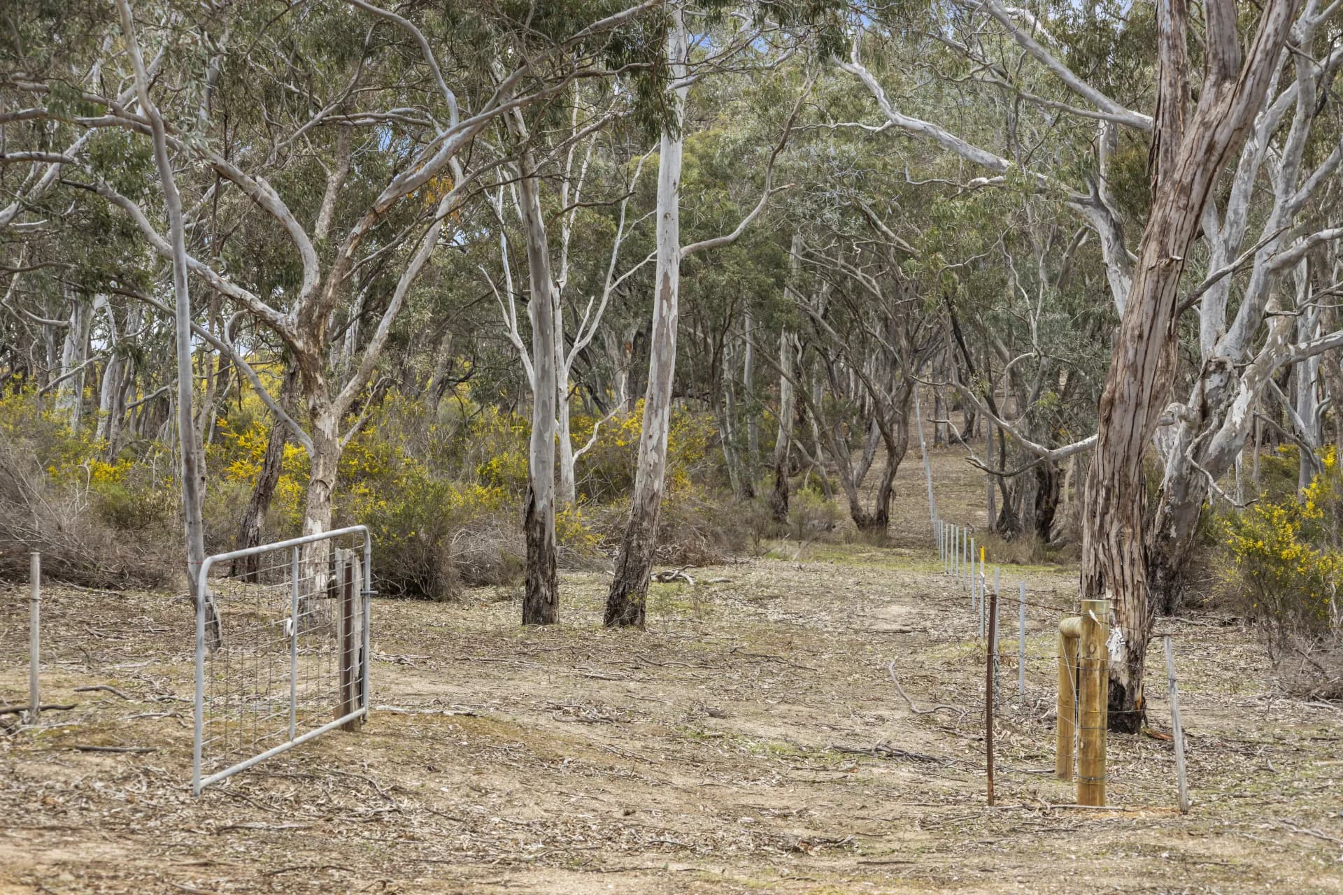 CA26D/135 Kierces Road, Clunes, VIC, Clunes - Thumbnail 2