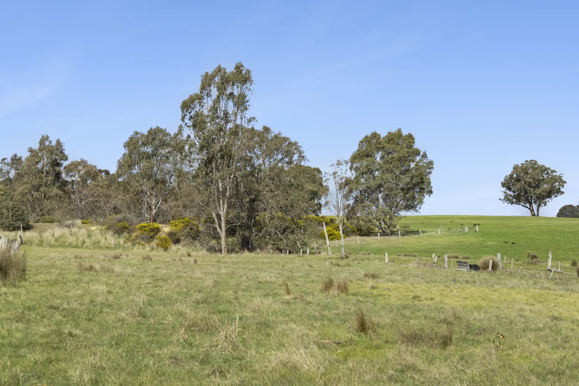 CA26D/135 Kierces Road, Clunes, VIC, Clunes - Thumbnail 3