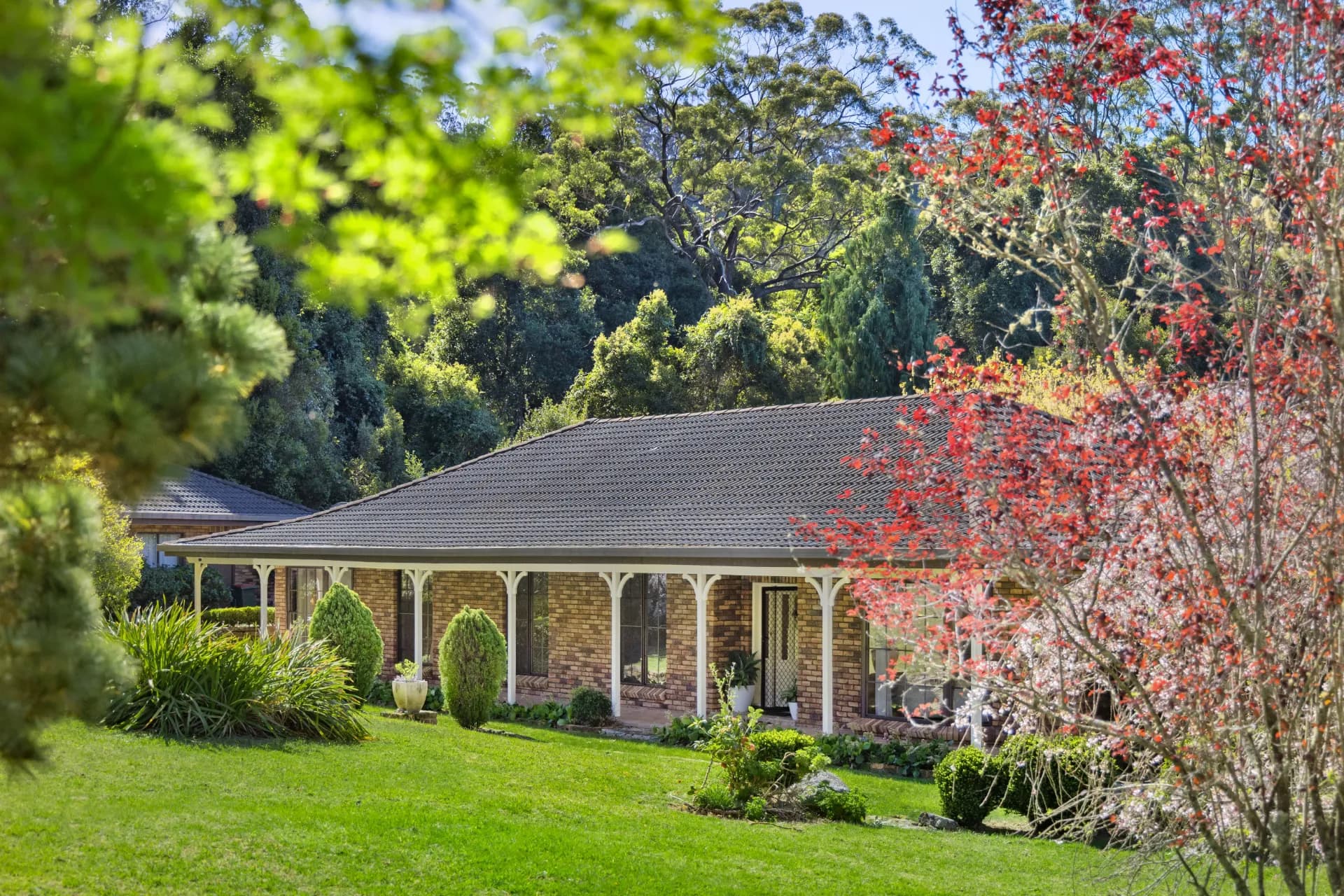 499C Tourist Road, Bellawongarah, NSW, Bellawongarah - Thumbnail 5