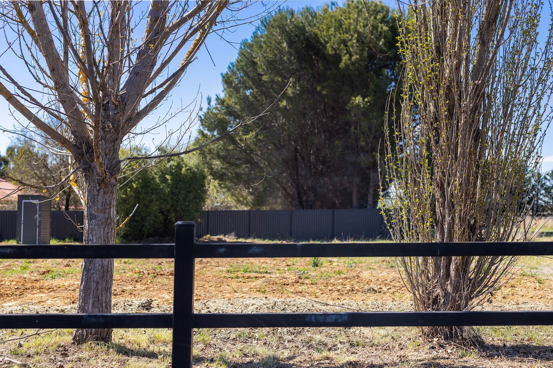 85 Trucking Yard Lane, Bungendore, NSW, Bungendore - Thumbnail 6