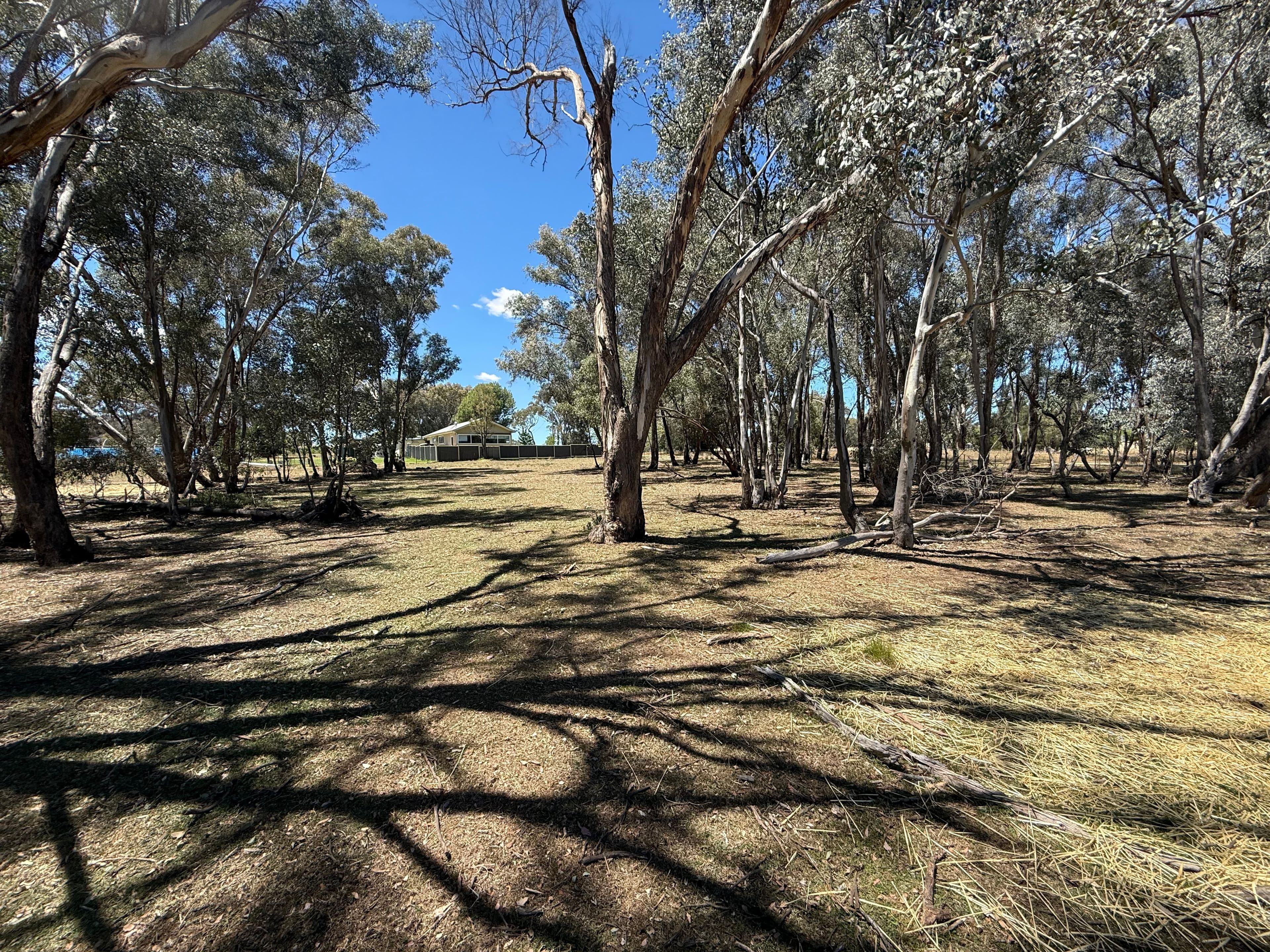 1326 Scenic Road, Monteagle Via, Young NSW 2594, Young - Thumbnail 3