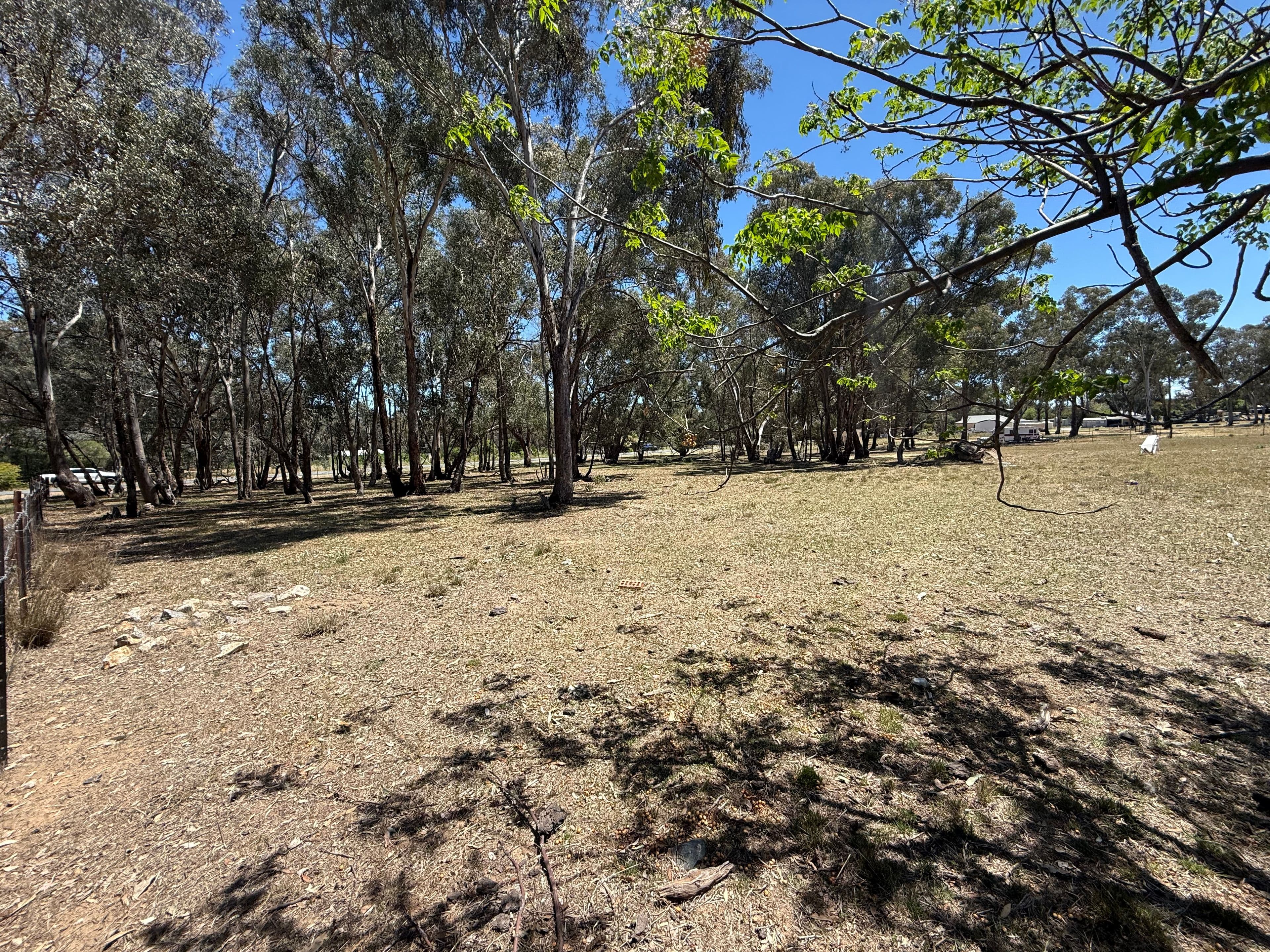 1326 Scenic Road, Monteagle Via, Young NSW 2594, Young - Thumbnail 4