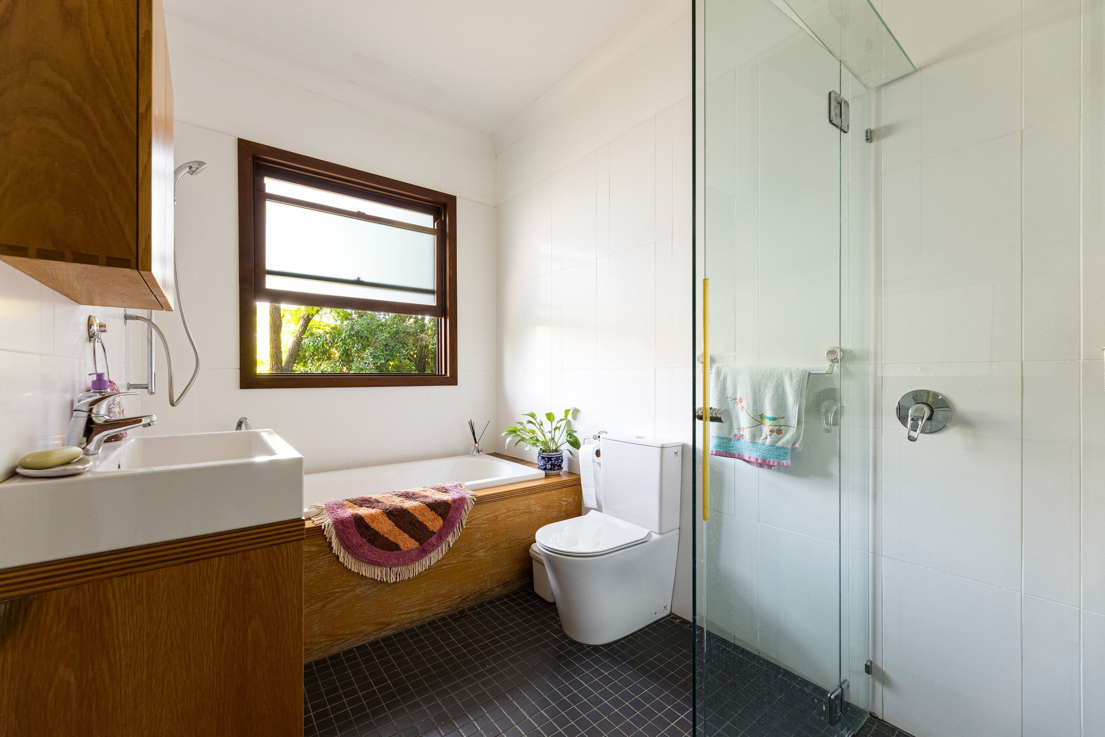 24 Albert, Goondiwindi QLD 4390, Goondiwindi - Thumbnail 5