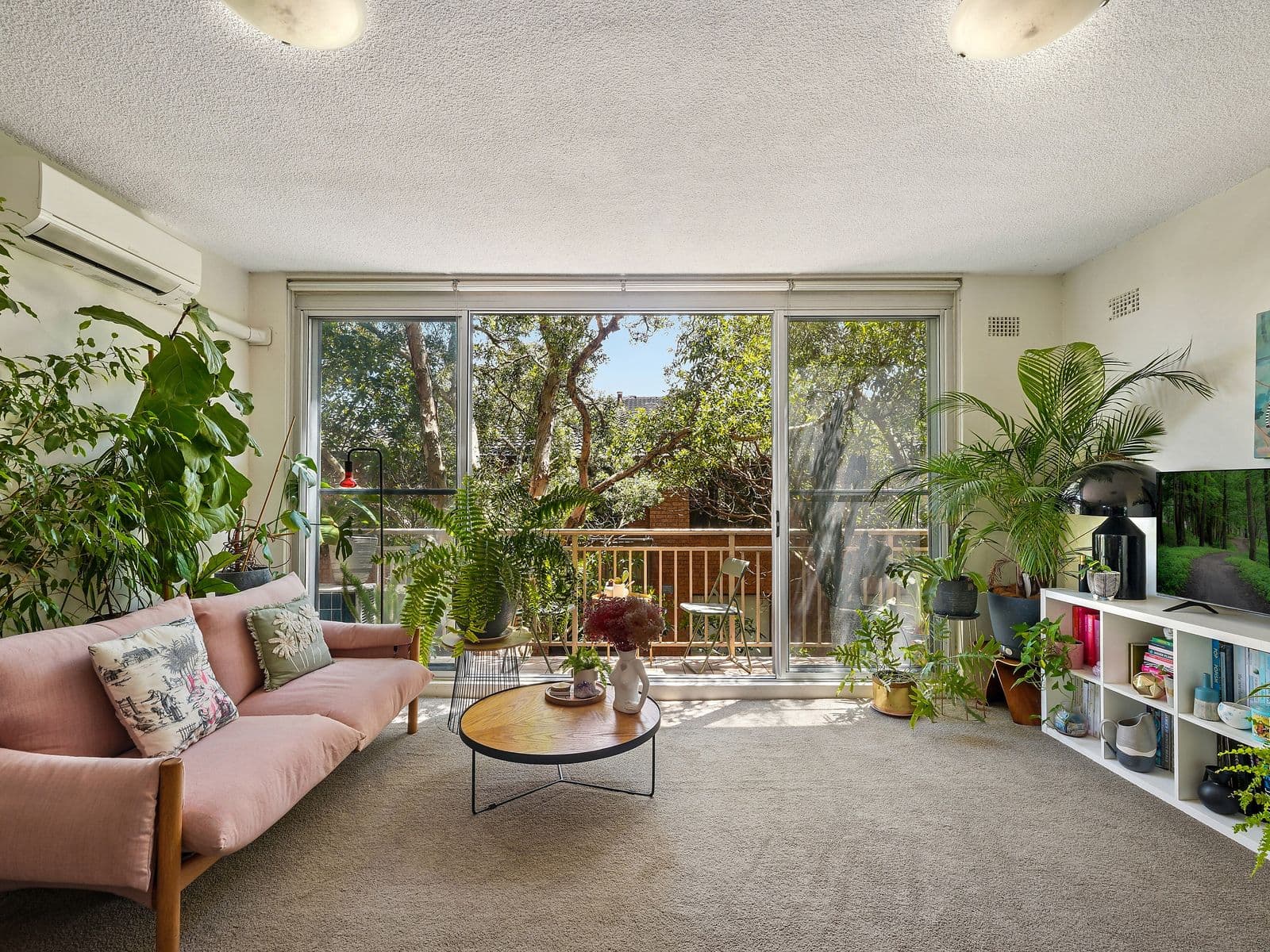 56 Chaleyer Street, Rose Bay - Thumbnail 2