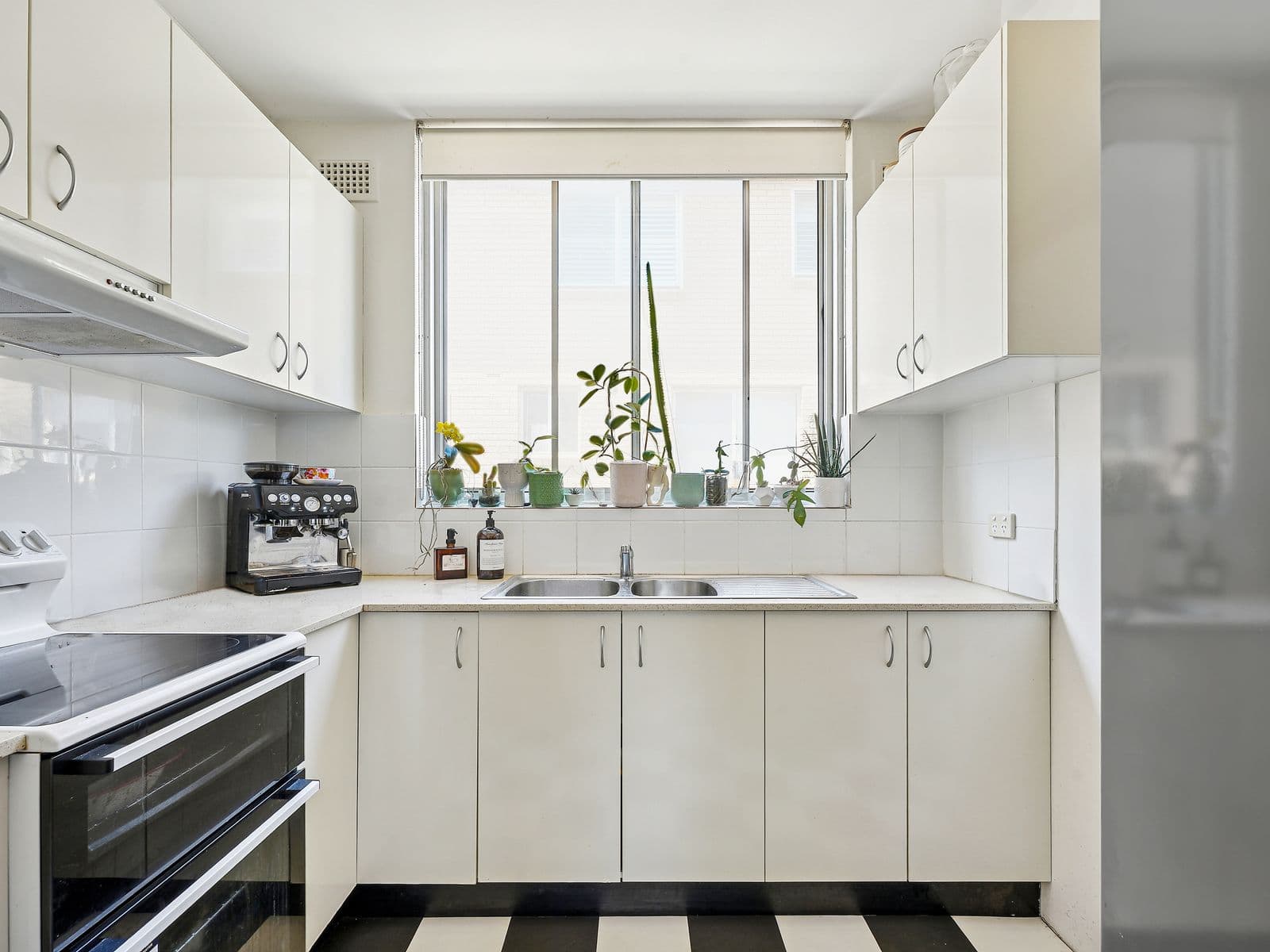 56 Chaleyer Street, Rose Bay - Thumbnail 3