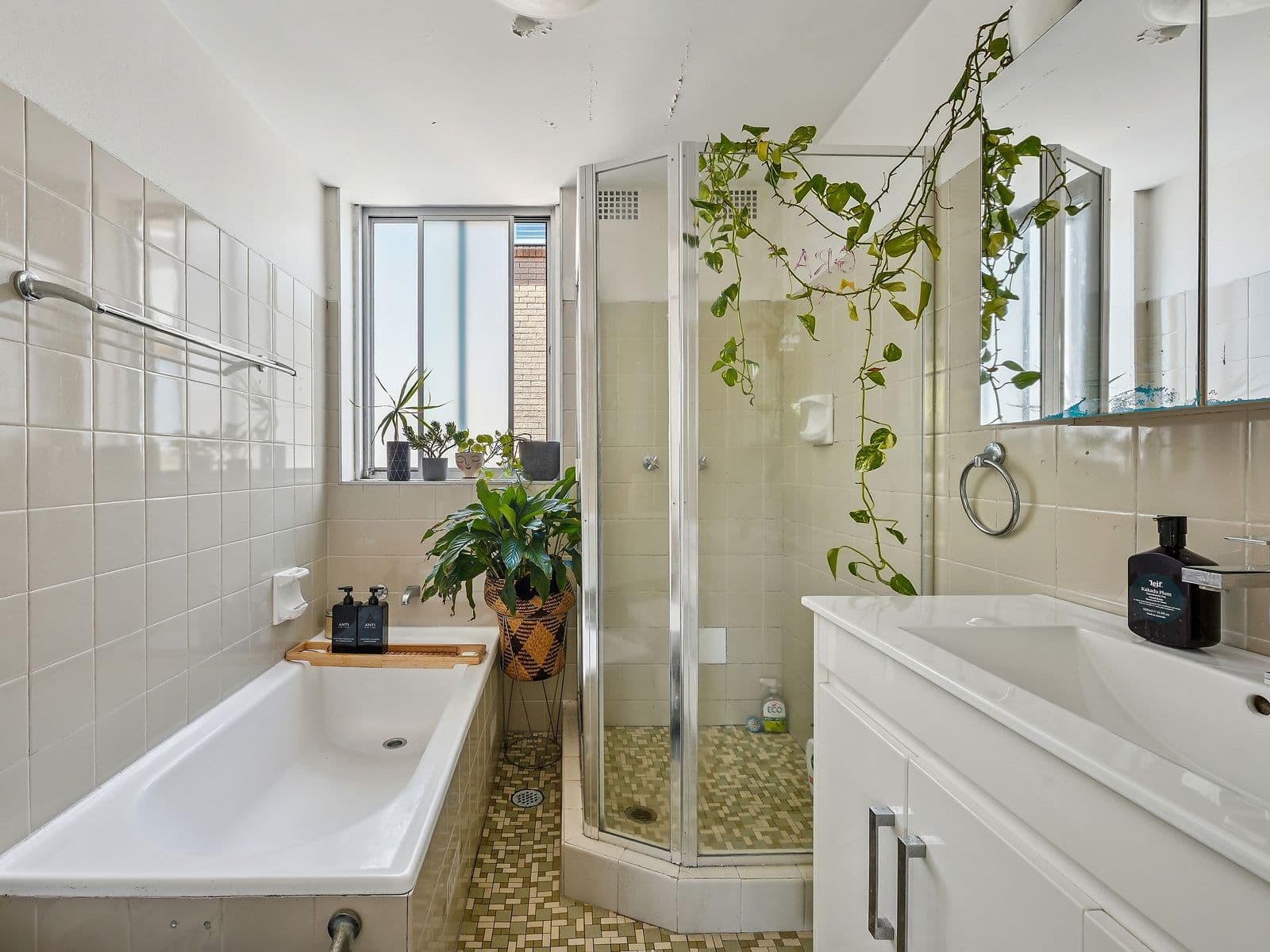 56 Chaleyer Street, Rose Bay - Thumbnail 5