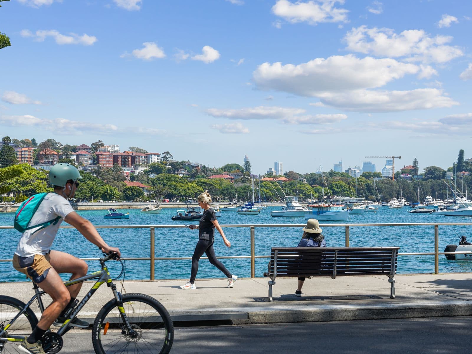 56 Chaleyer Street, Rose Bay - Thumbnail 6