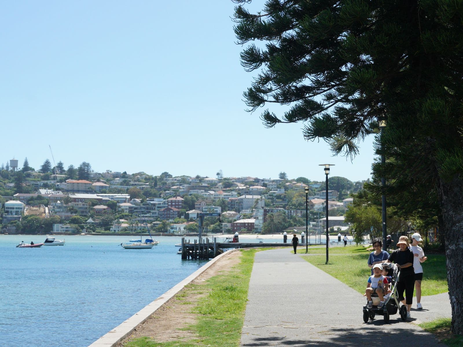 56 Chaleyer Street, Rose Bay - Thumbnail 8
