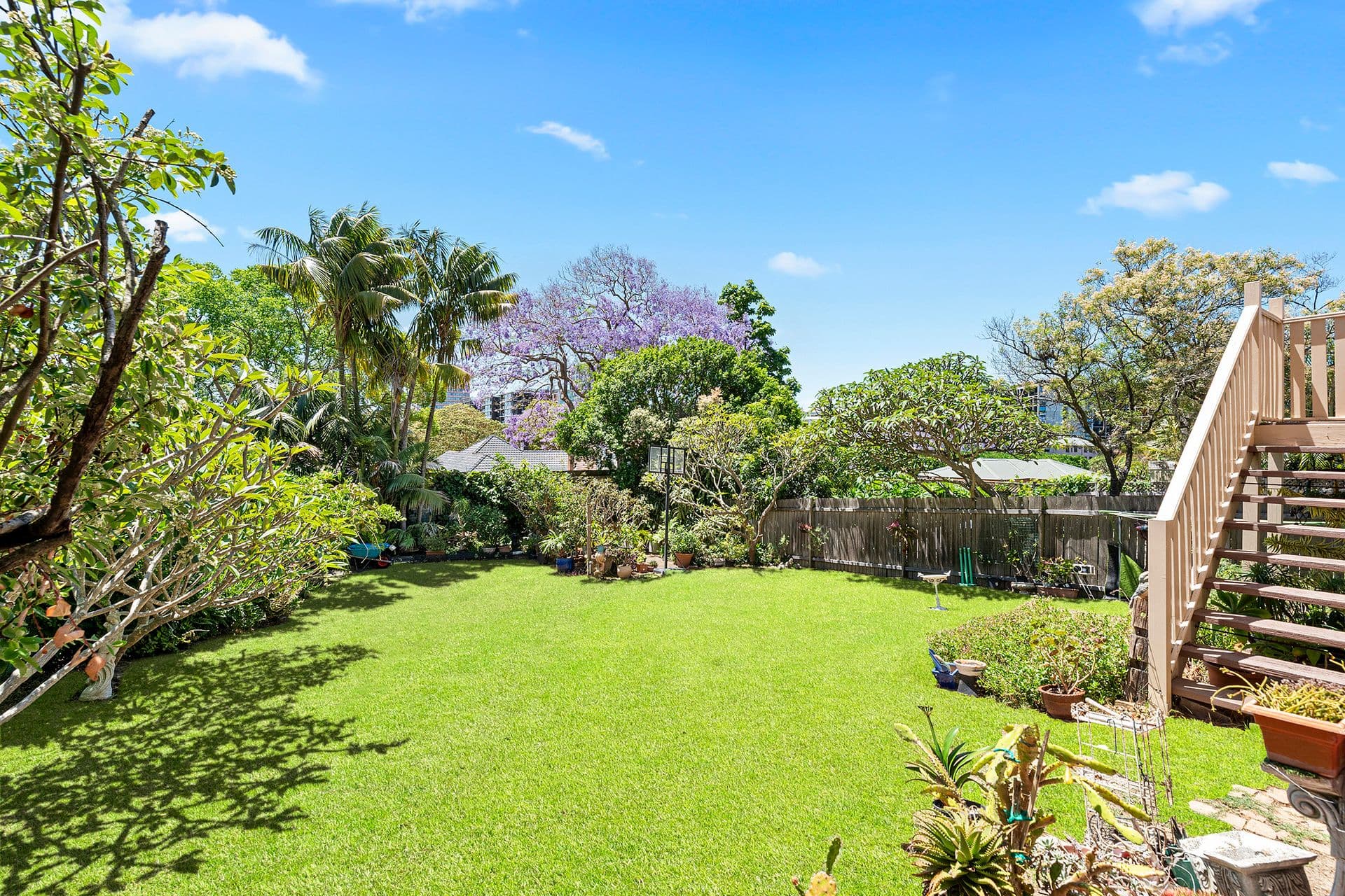8 Roma Avenue, Kensington NSW 2033, Kensington - Thumbnail 2