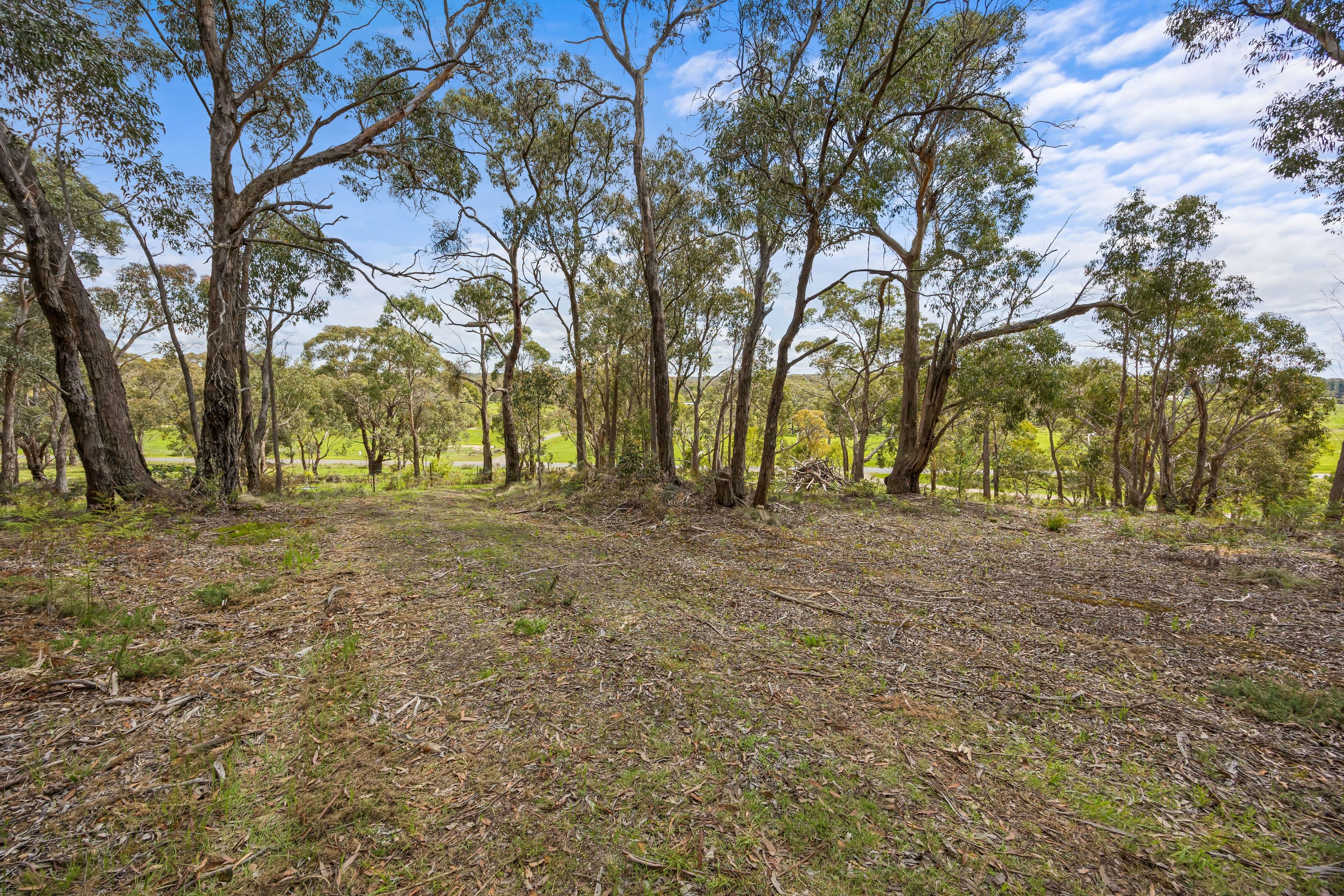 628 Linton-carngham Road, Snake Valley VIC 3351, Snake Valley - Thumbnail 5