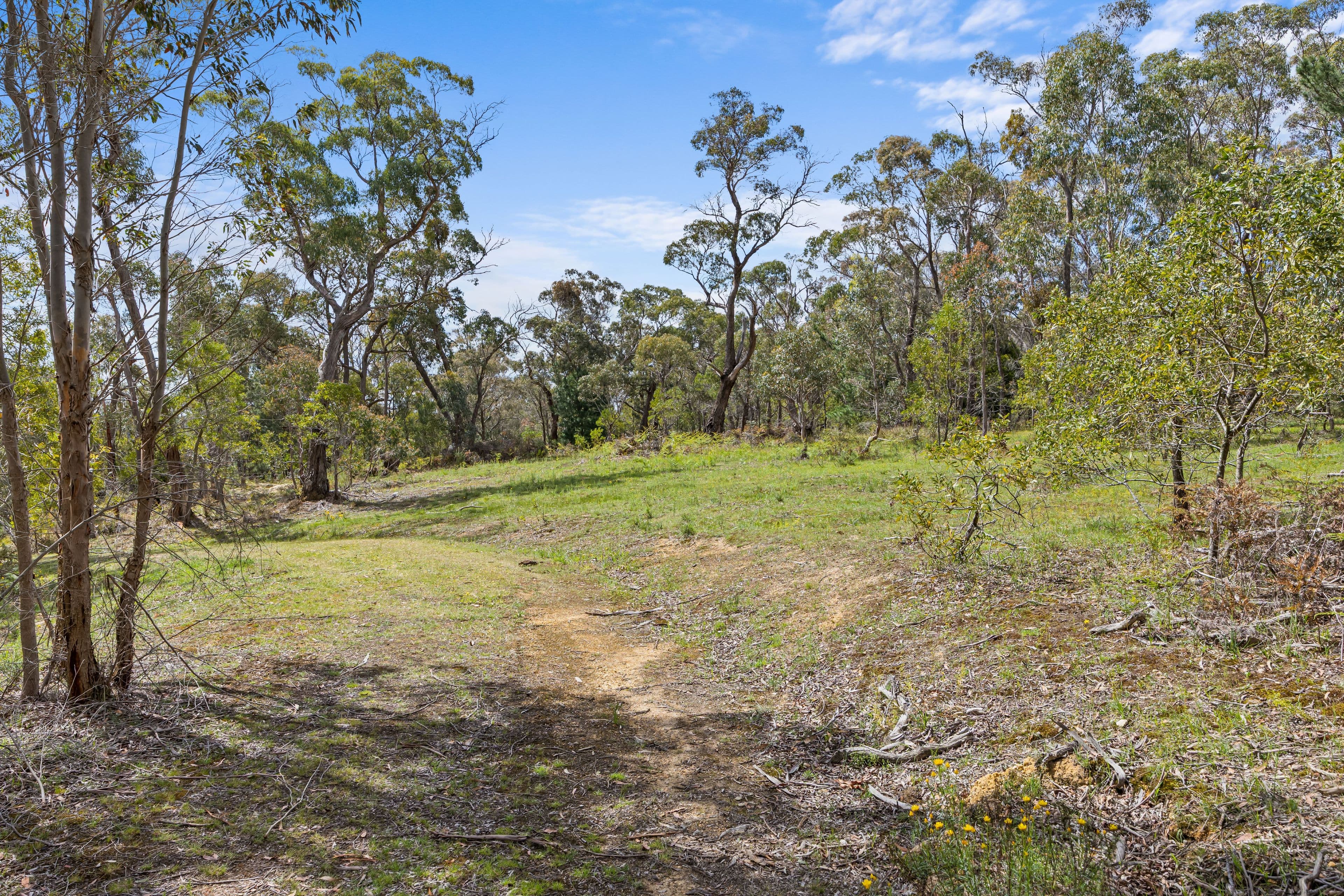 628 Linton-carngham Road, Snake Valley VIC 3351, Snake Valley - Thumbnail 6