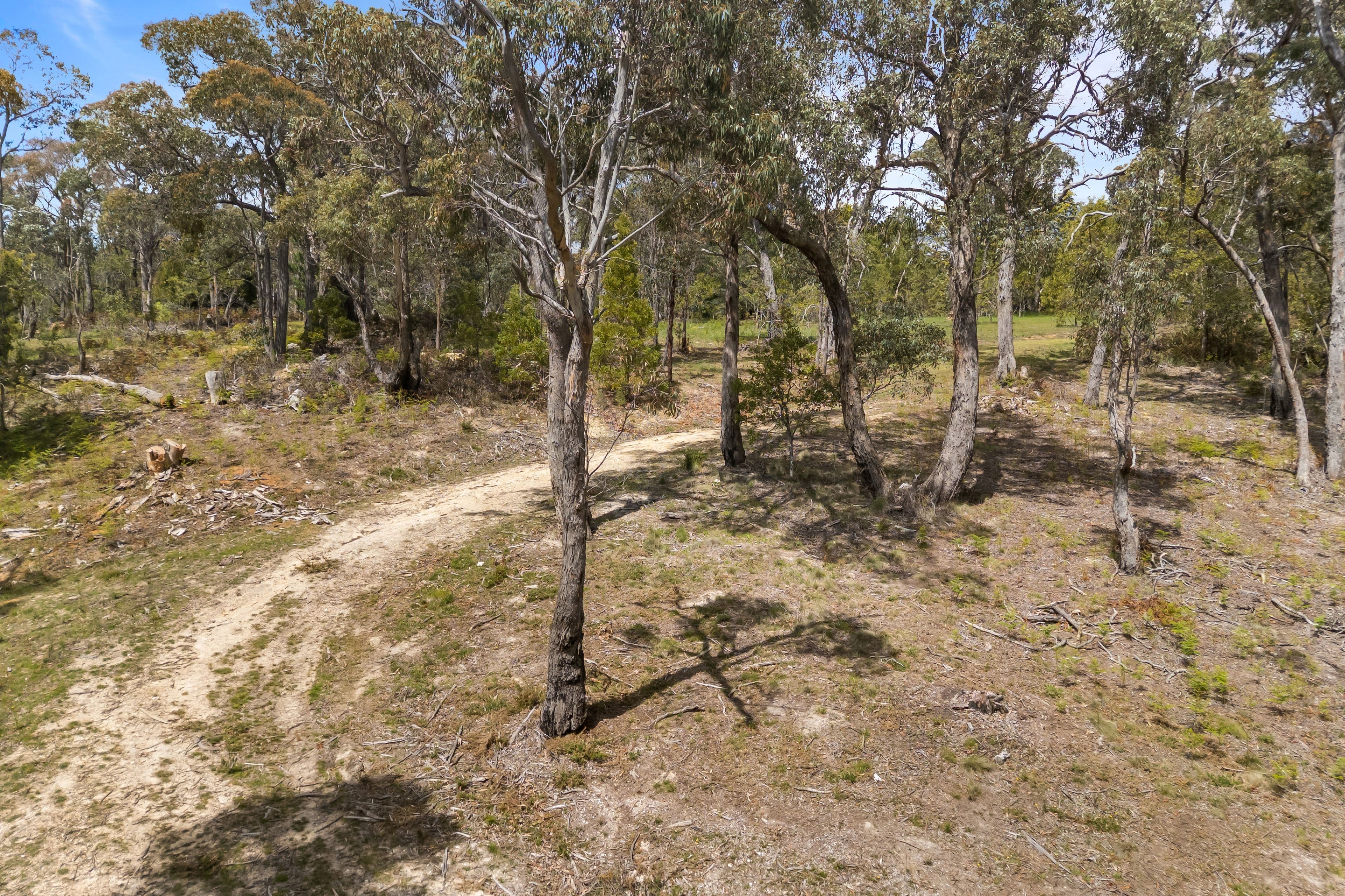 628 Linton-carngham Road, Snake Valley VIC 3351, Snake Valley - Thumbnail 7