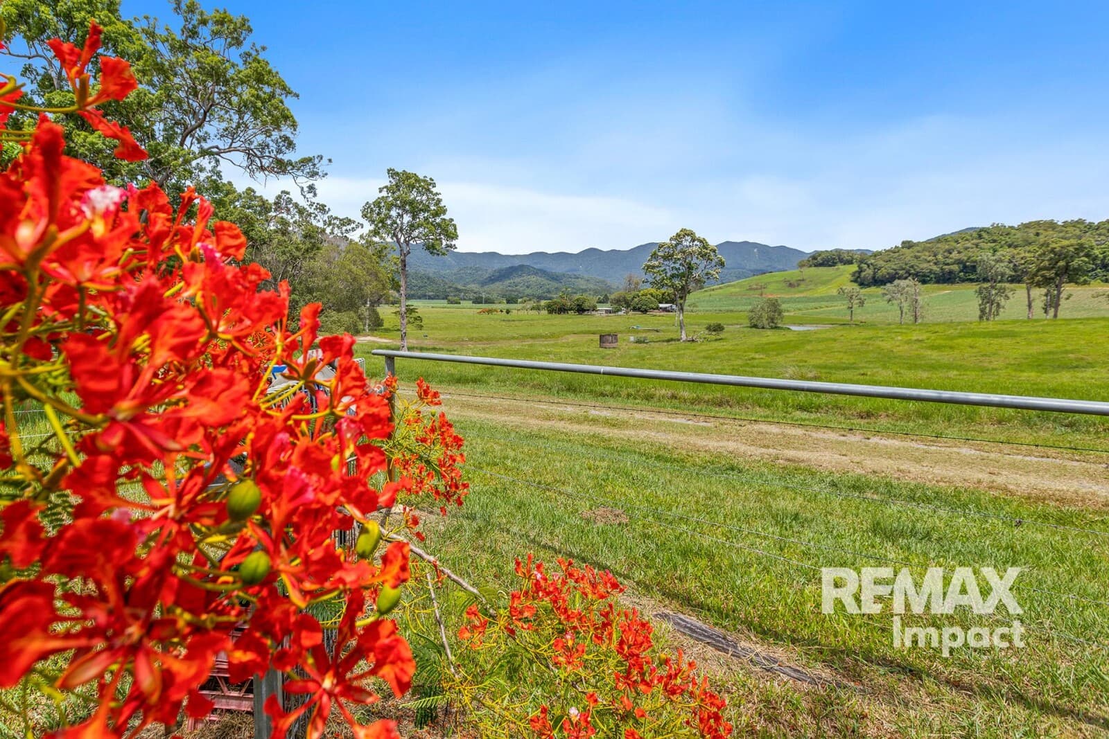 1937 Mossman-Mount Molloy Road Julatten QLD 4871, Julatten - Thumbnail 5