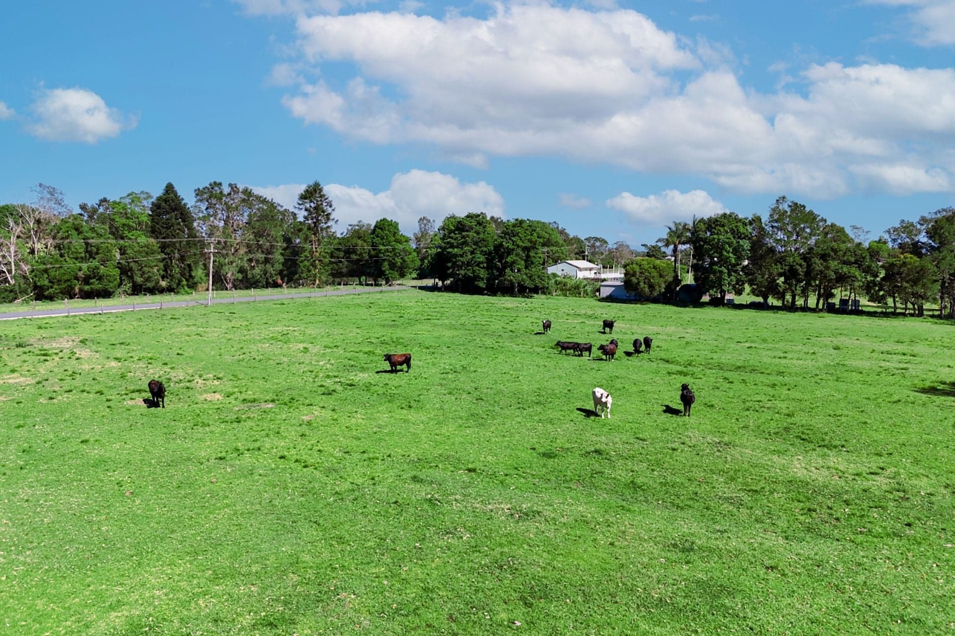 83 Belmore River Right Bank Road, Belmore River, Belmore River - Thumbnail 6