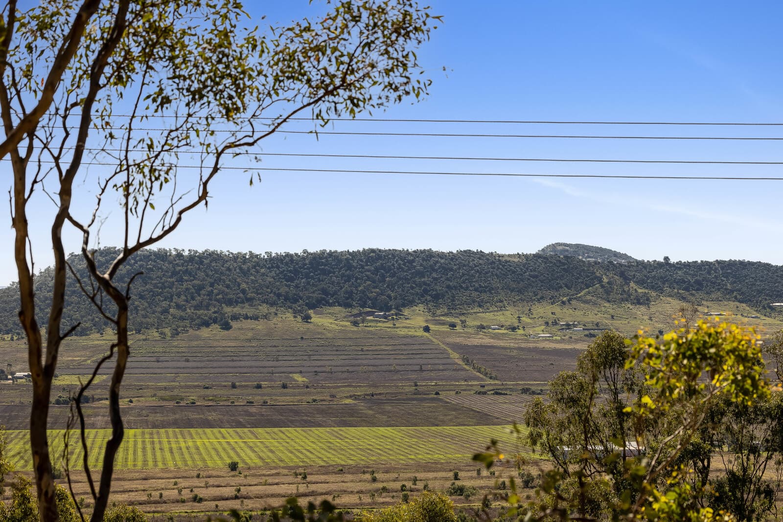 14 Linora Drive Gowrie Mountain QLD 4350, Gowrie Mountain - Thumbnail 2