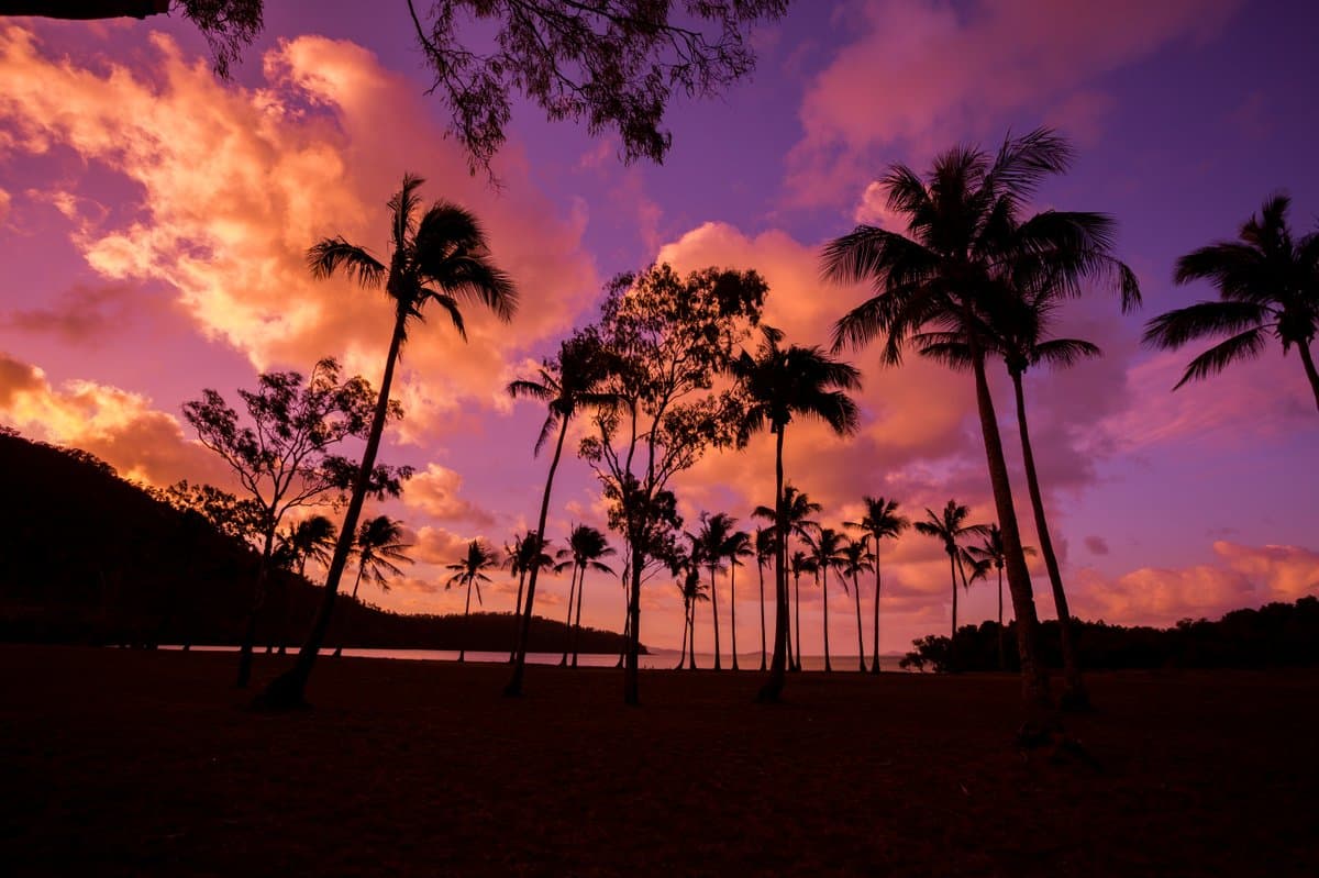 11 Discovery Drive, FLAMETREE QLD 4802, Flametree - Thumbnail 4