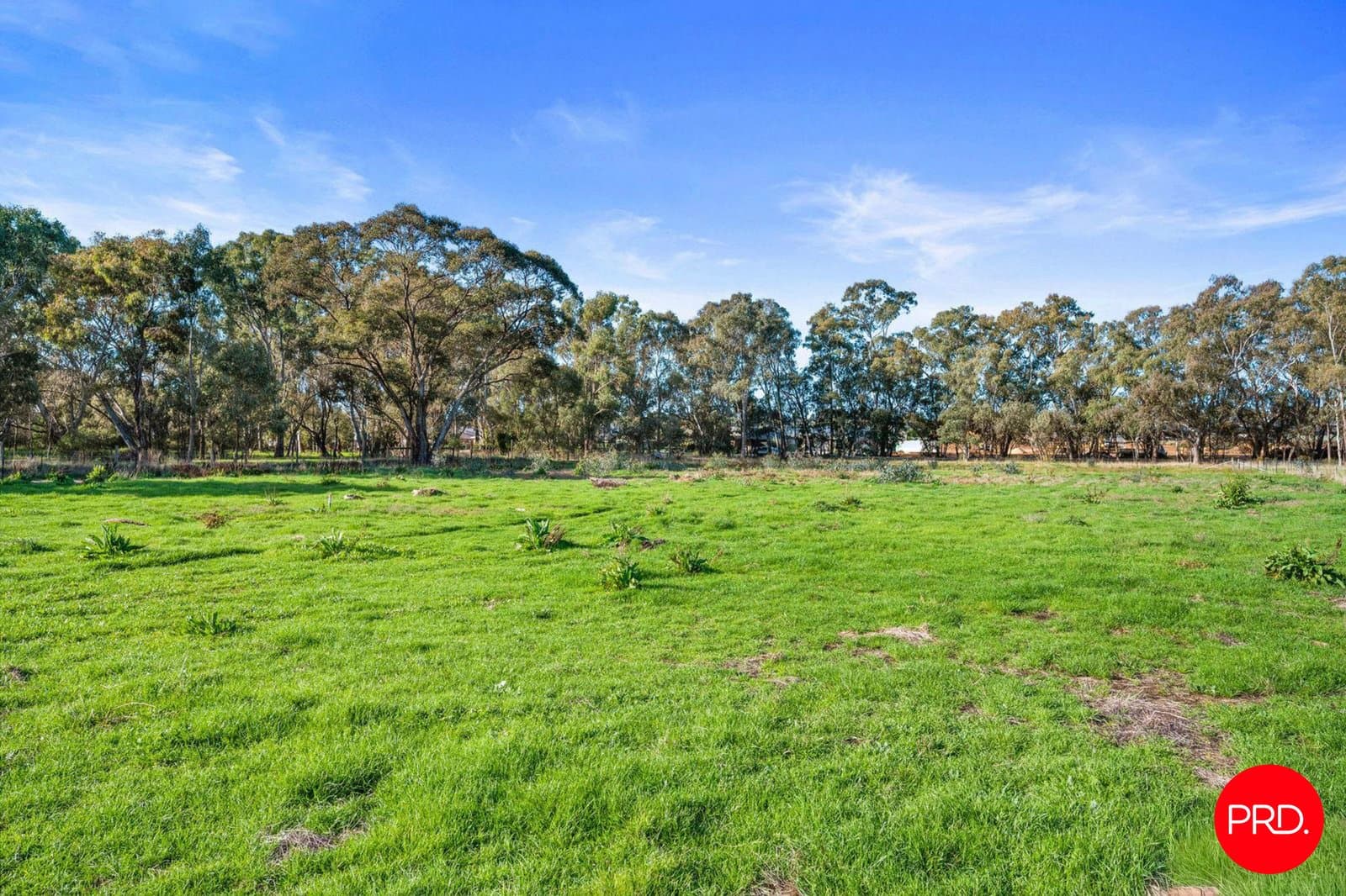 Lot 1 51A Monsants Road, MAIDEN GULLY VIC 3551, Maiden Gully Property Image - Thumbnail 5