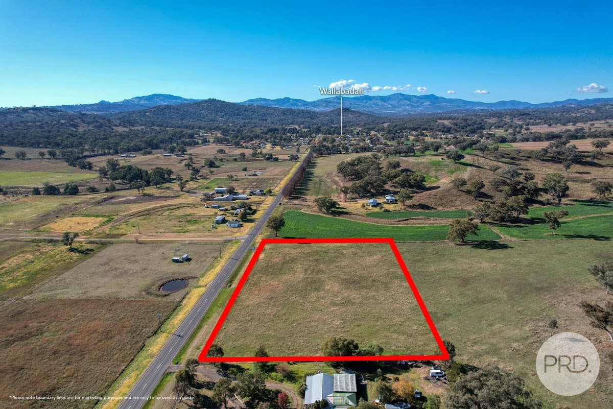 141 Wallabadah Road, WALLABADAH NSW 2343, Wallabadah - Image 1