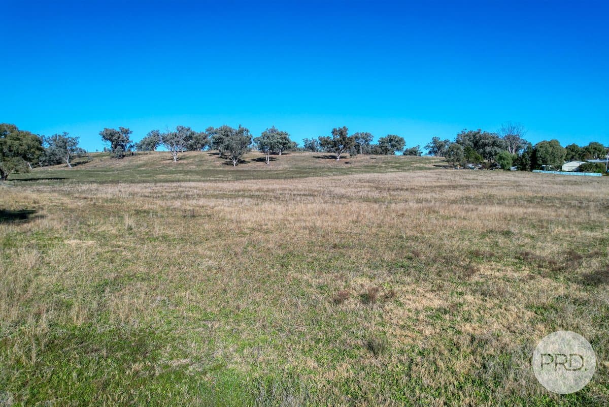 141 Wallabadah Road, WALLABADAH NSW 2343, Wallabadah - Thumbnail 3