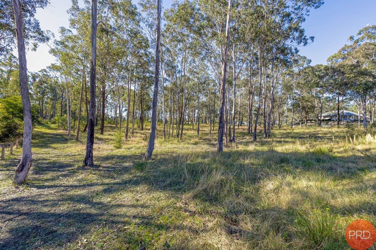 3 Hillridge Close, GLEN OAK NSW 2320, Glen Oak - Thumbnail 5