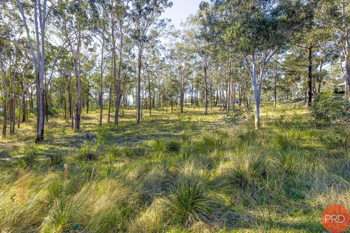 3 Hillridge Close, GLEN OAK NSW 2320, Glen Oak - Thumbnail 6