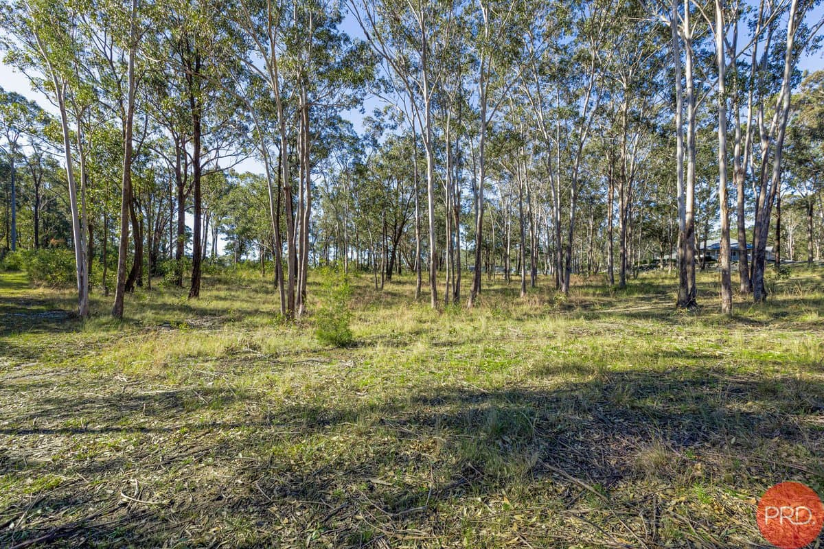 3 Hillridge Close, GLEN OAK NSW 2320, Glen Oak - Thumbnail 7